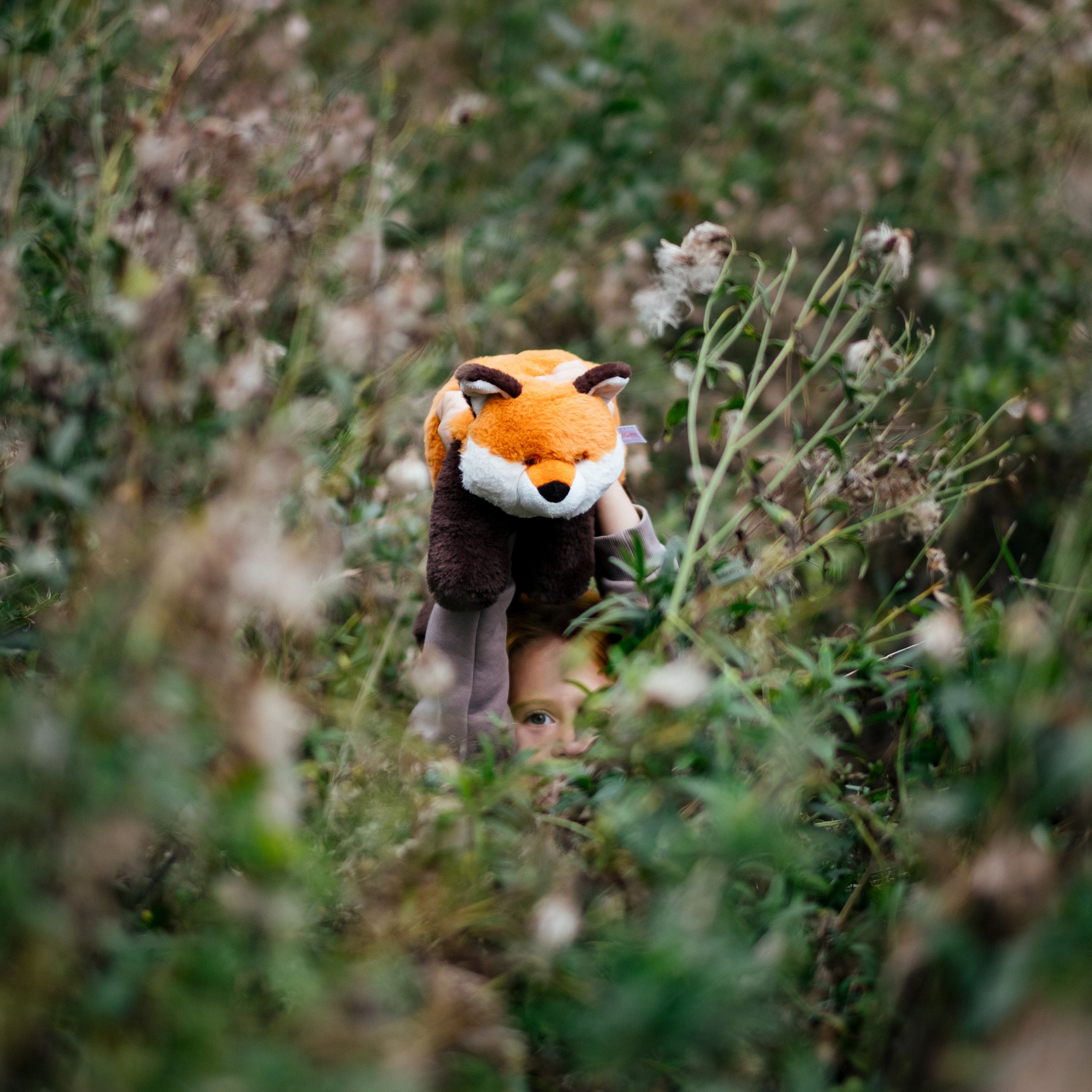 Осенний пикник