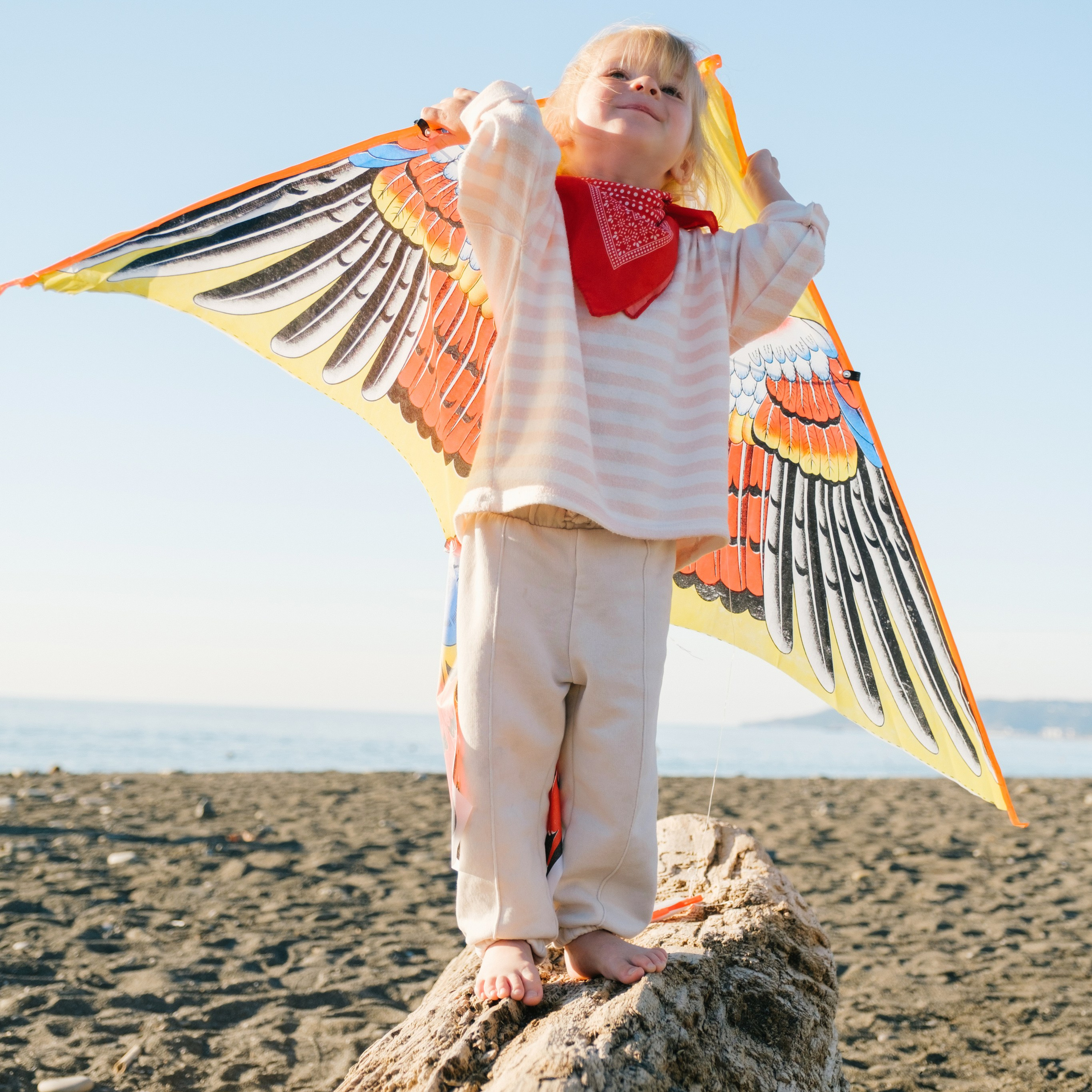 Воздушный змей