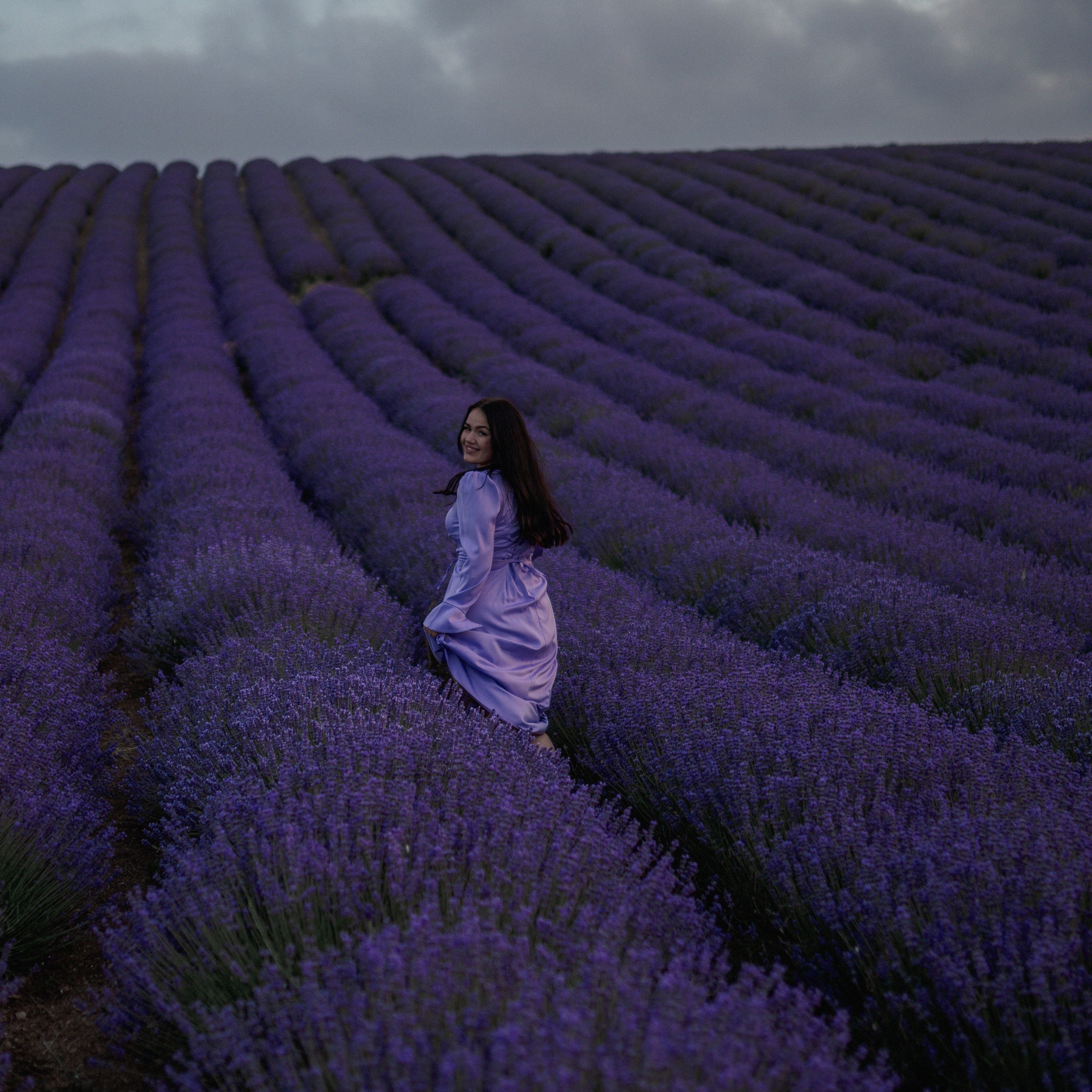 Александра лаванда