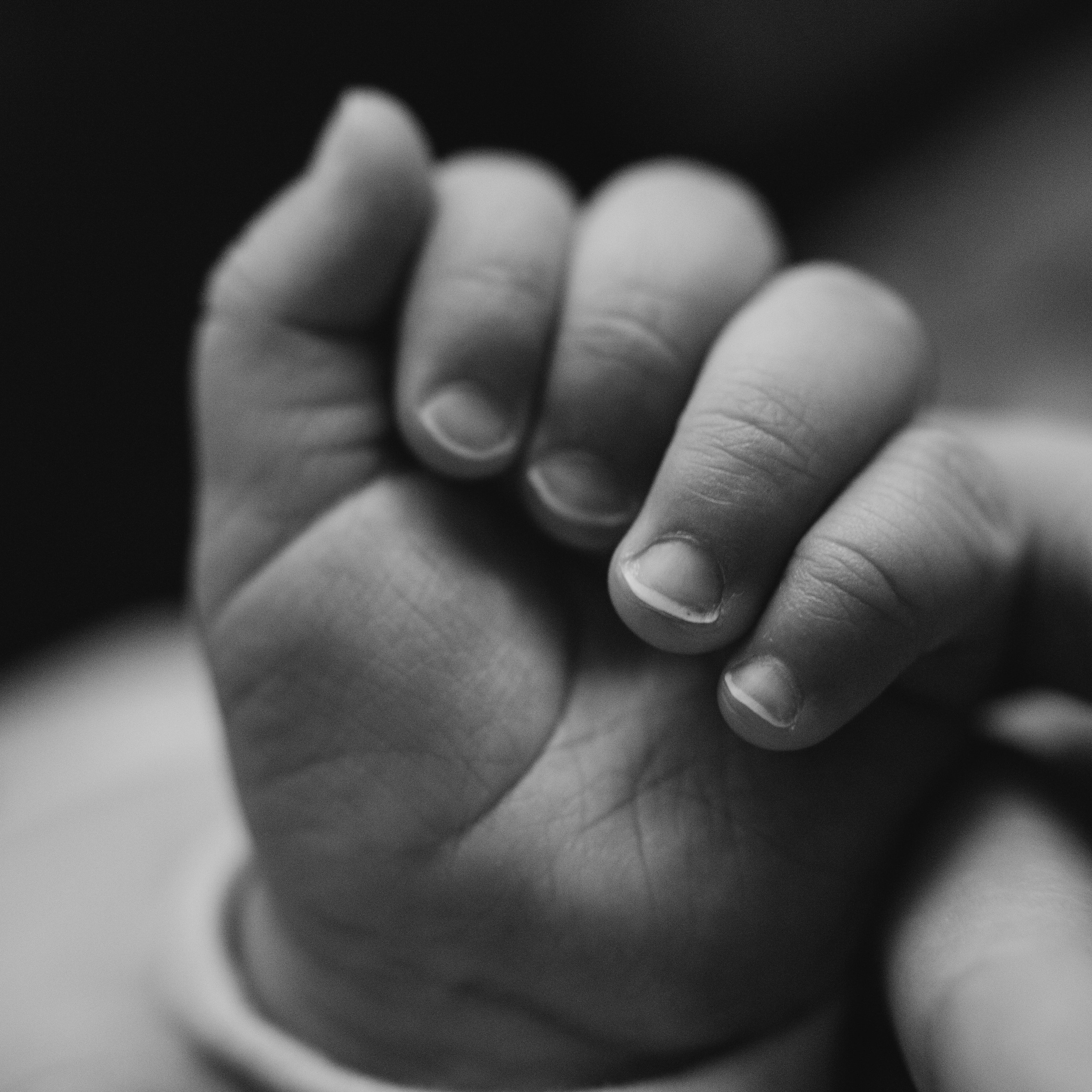 Отзывы. Фотограф новорожденных в Санкт-Петербурге Белова Екатерина