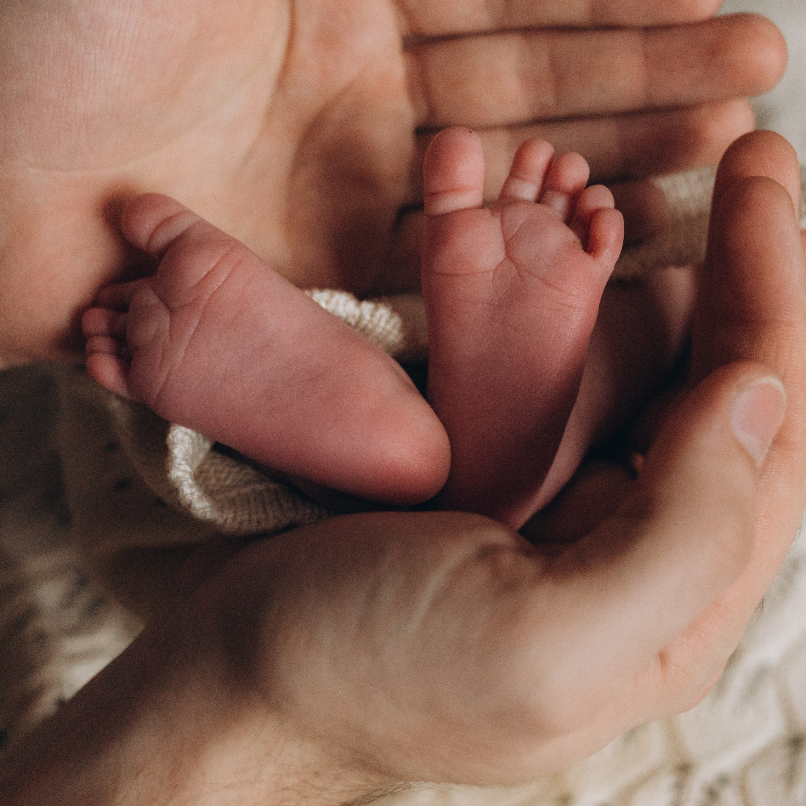 Отзывы. Фотограф новорожденных в Санкт-Петербурге Белова Екатерина