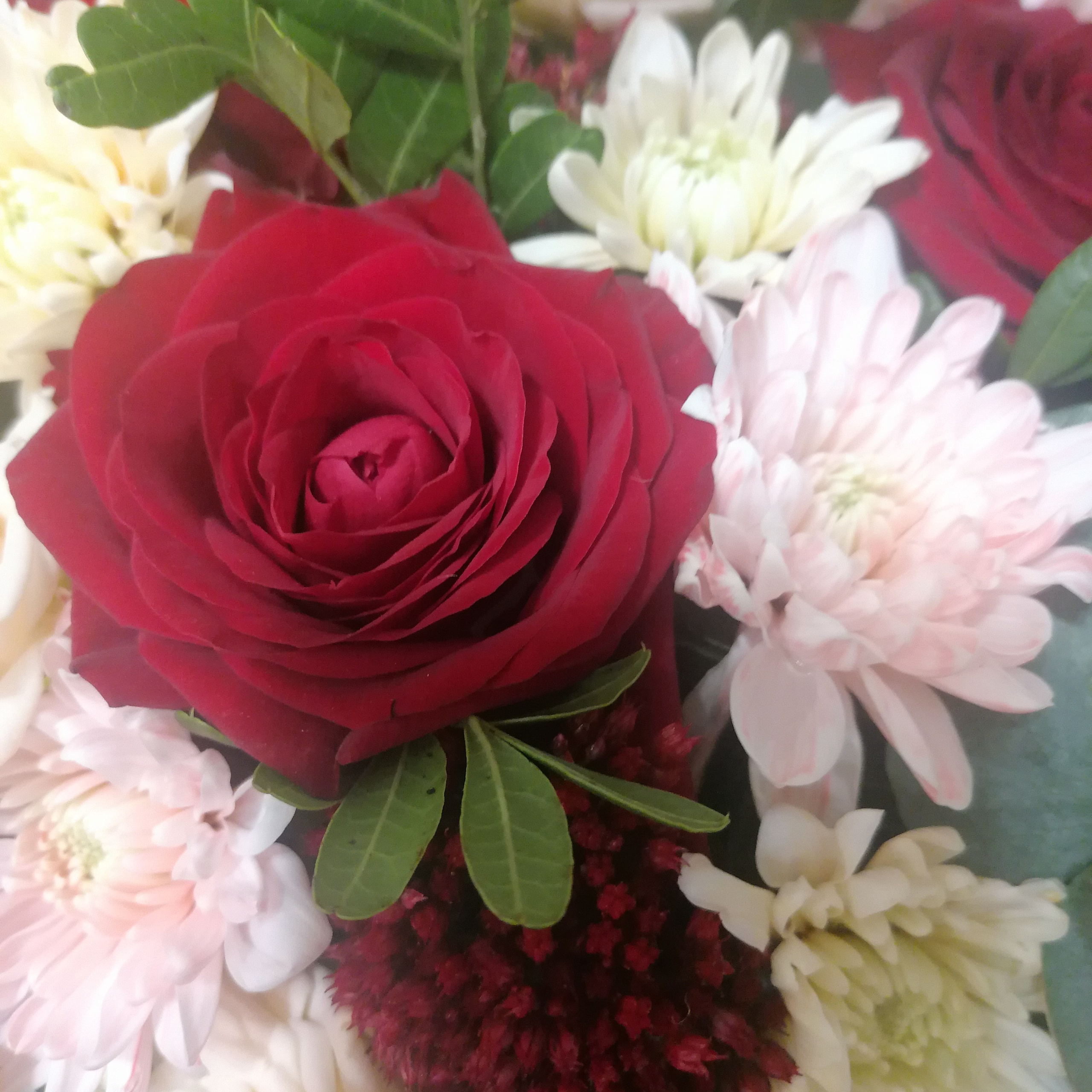 Отзывы. Dutova-art.ru