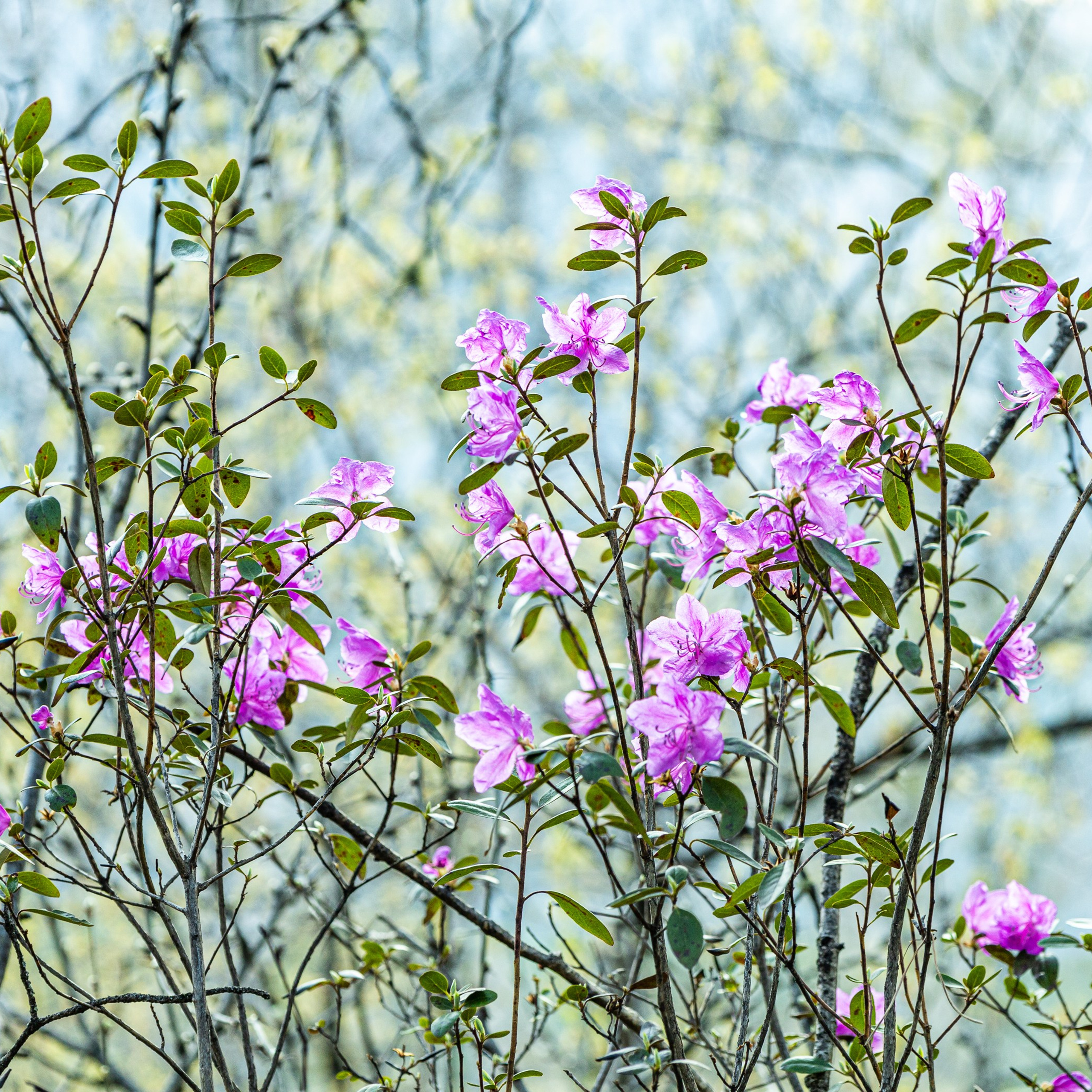 Майские в горах 2023