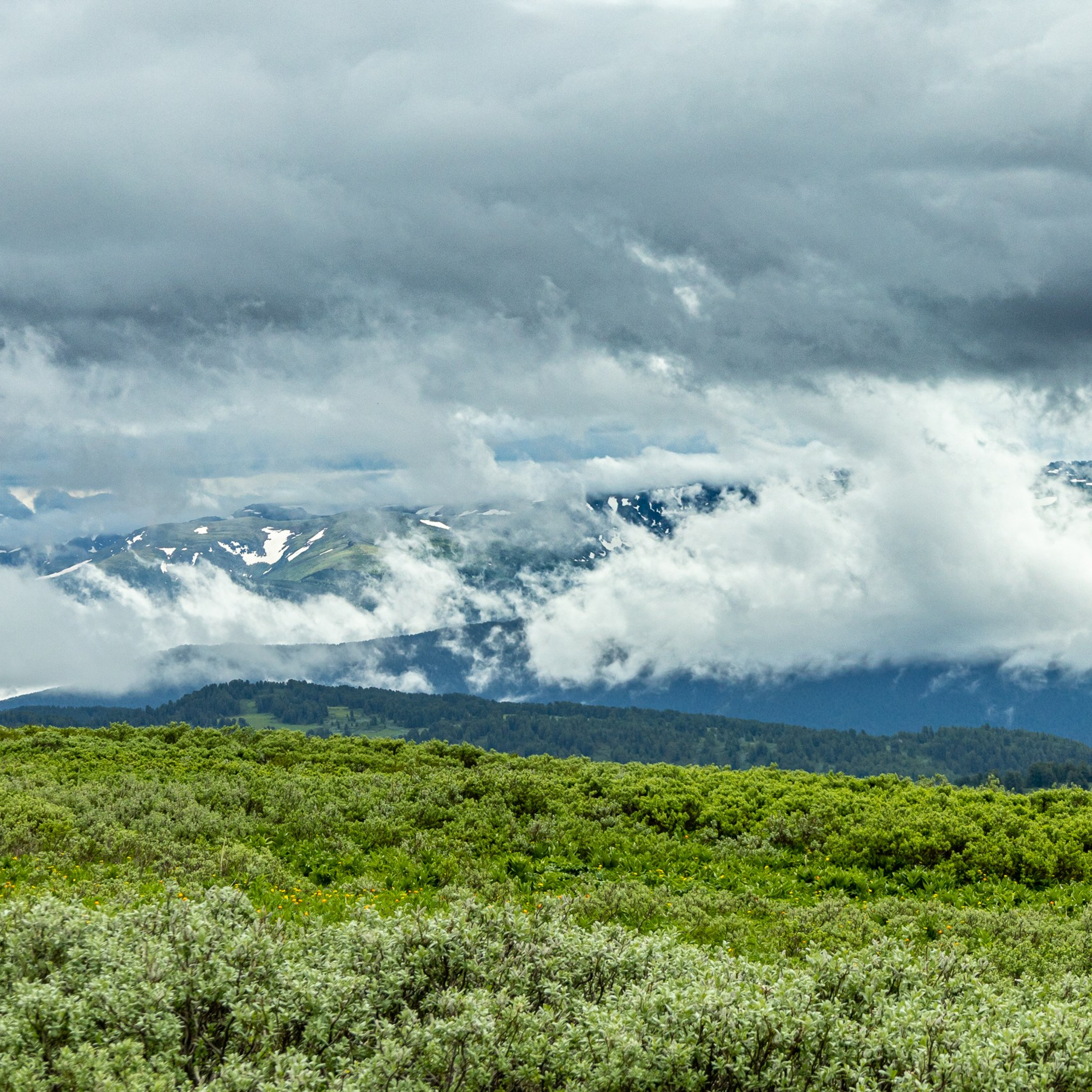 Озеро Манас 2023