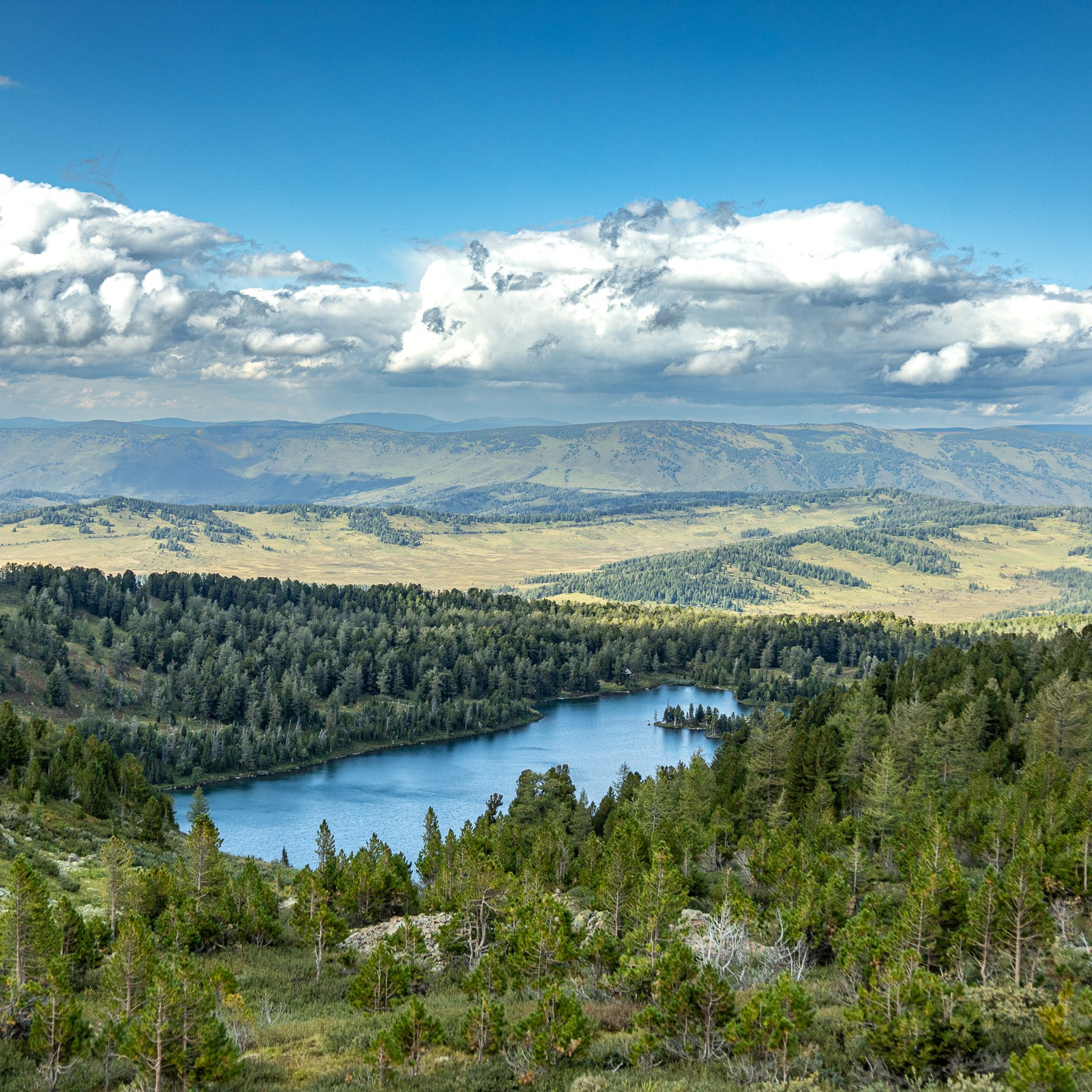 Красная гора 2024