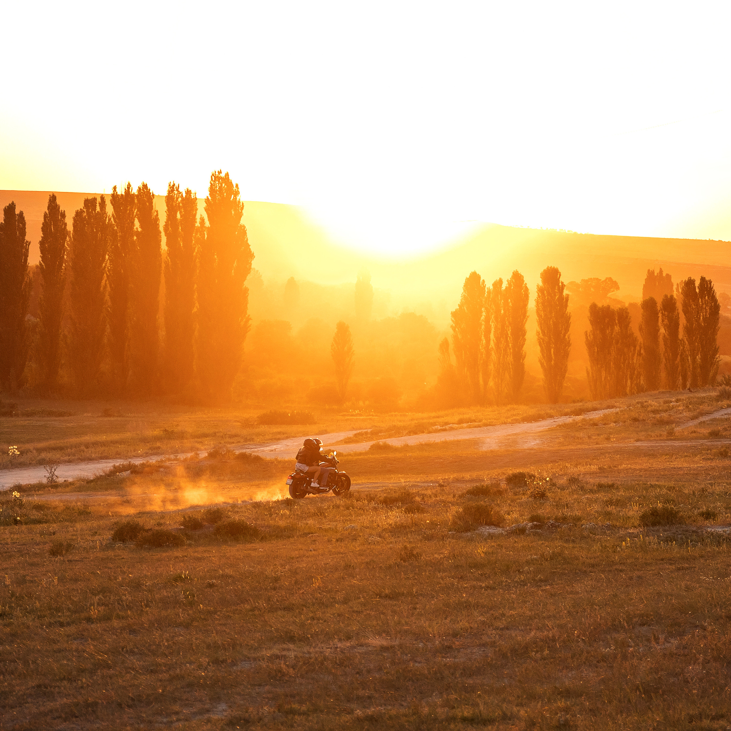 Виктор и Светлана