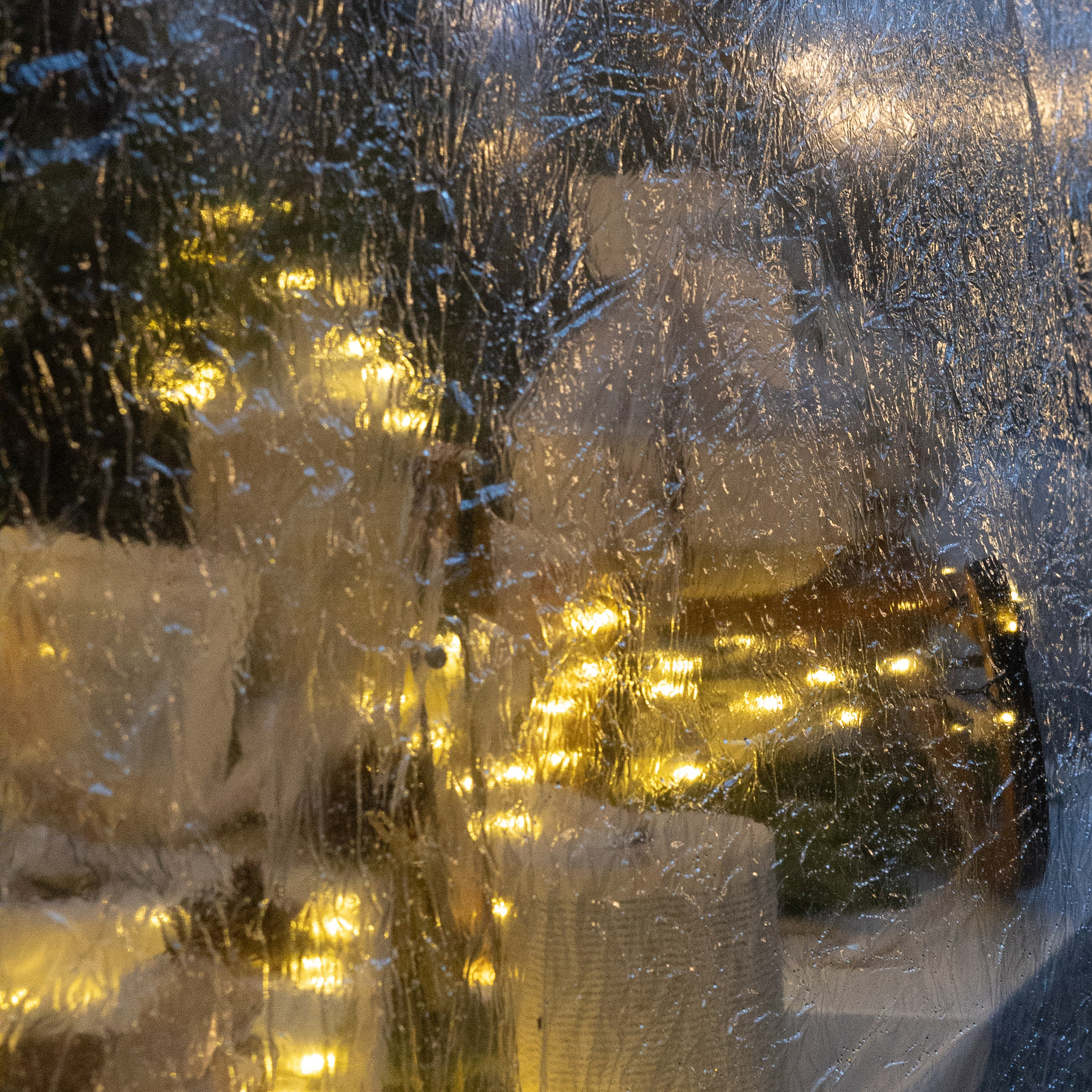 Christmas Fairy Tale