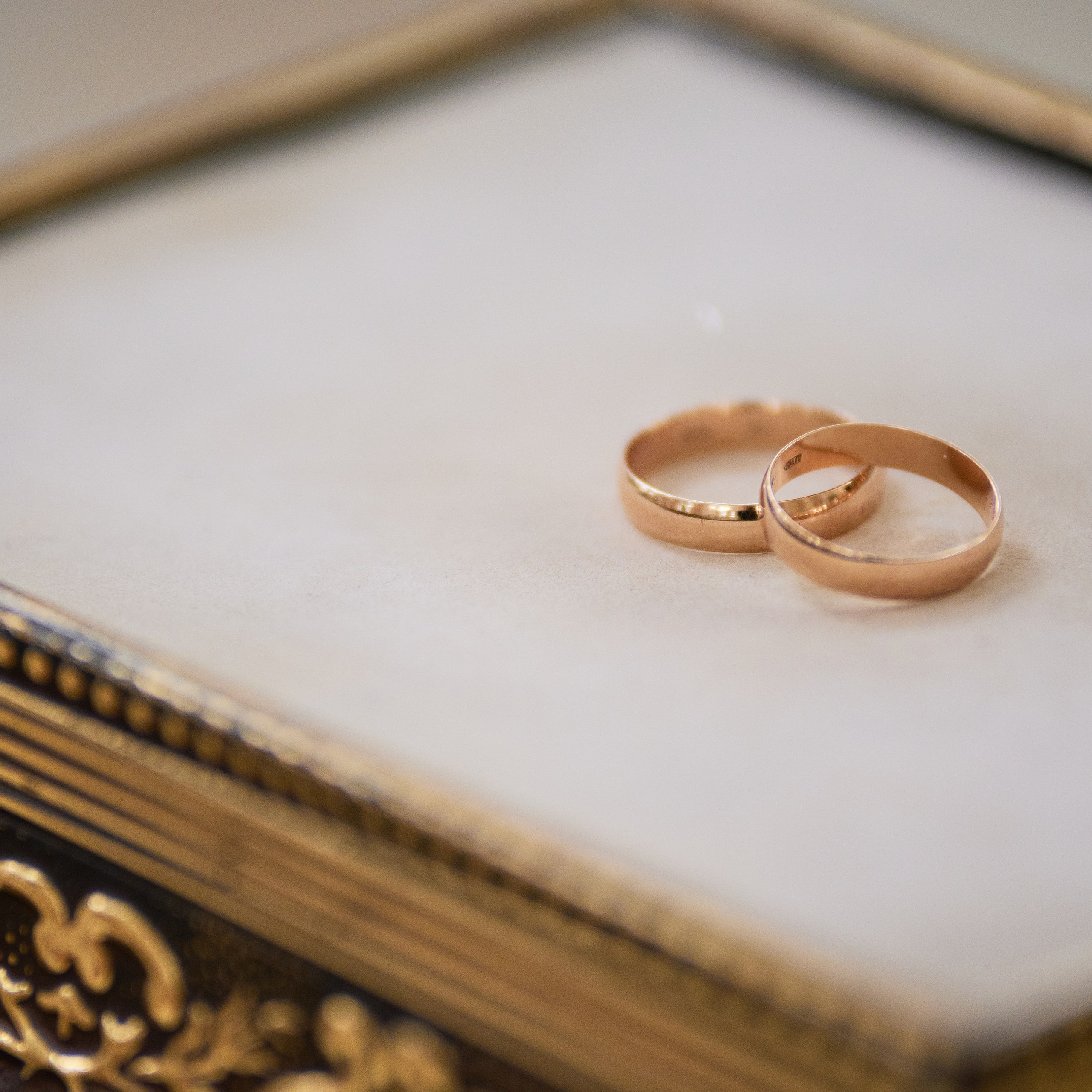 Отзывы. Профессиональный фотограф (Краснодар) Роман Гончаров