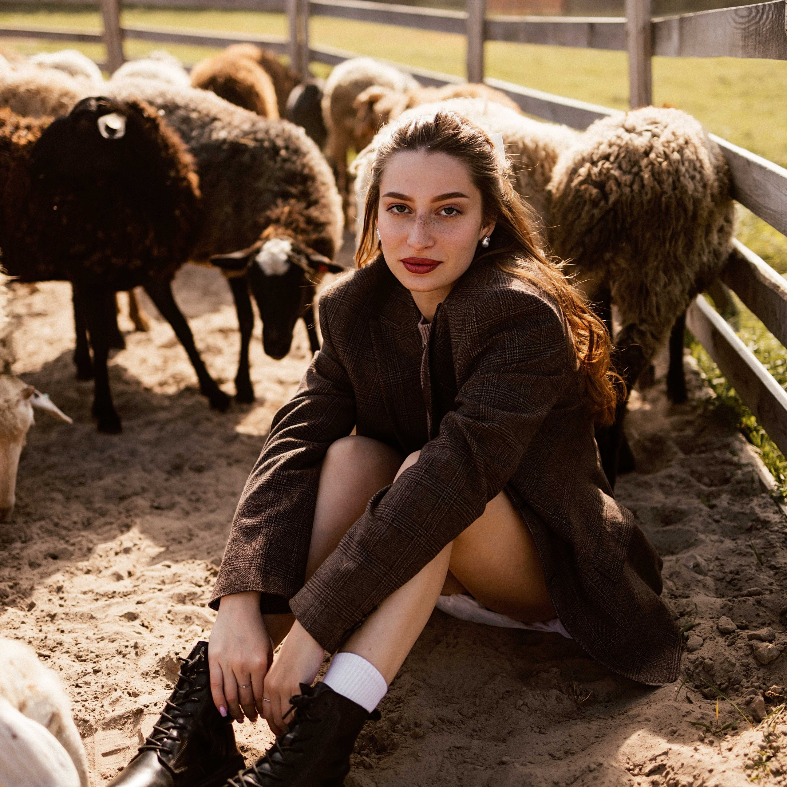 Фотосессия с овечками для Ксюши