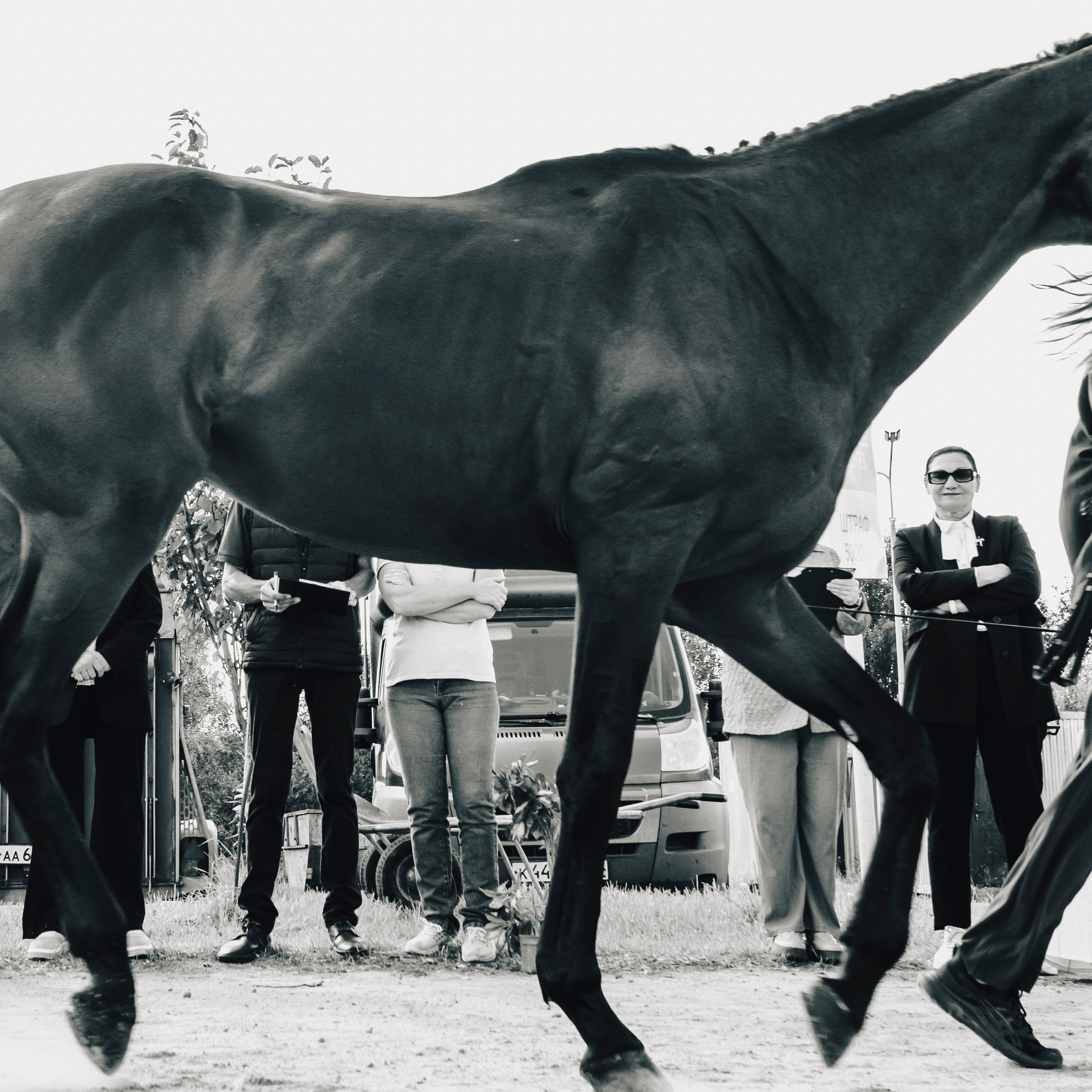 Фотографии с турниров