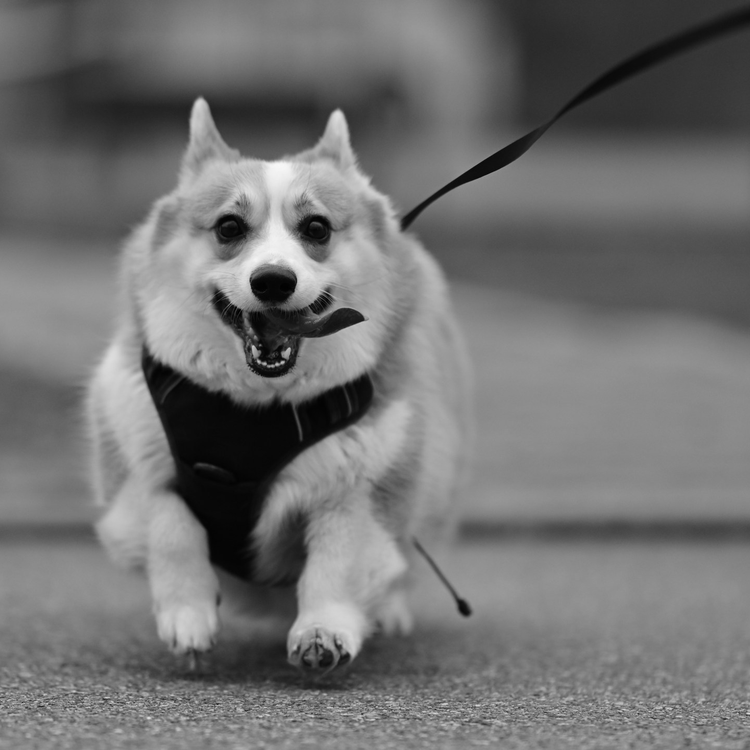 Отзывы. Репортажный фотограф в Краснодаре, Иван Ванюшенков