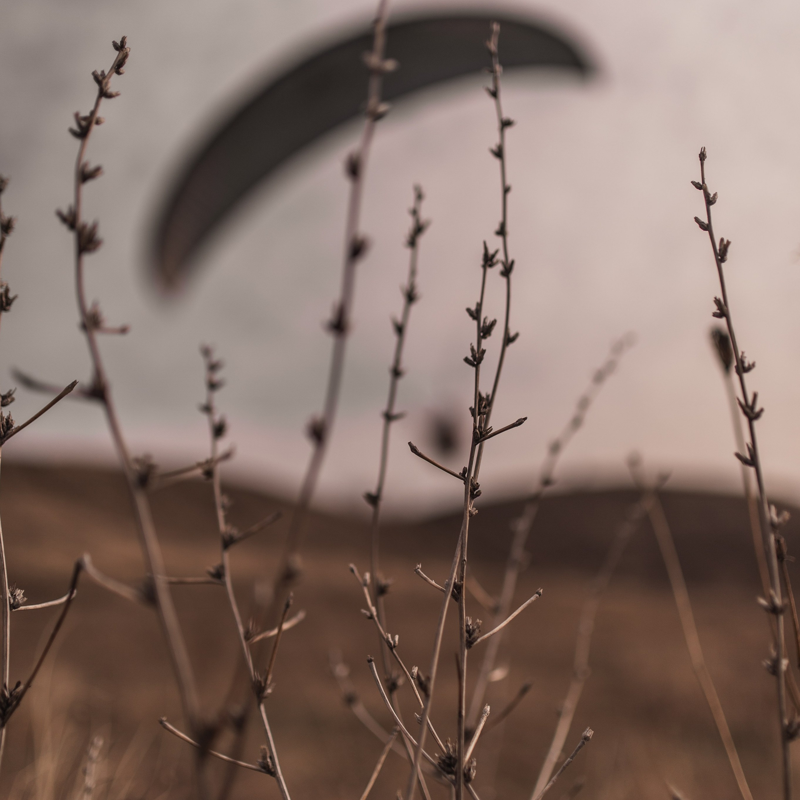 Отзывы. Репортажный фотограф в Краснодаре, Иван Ванюшенков