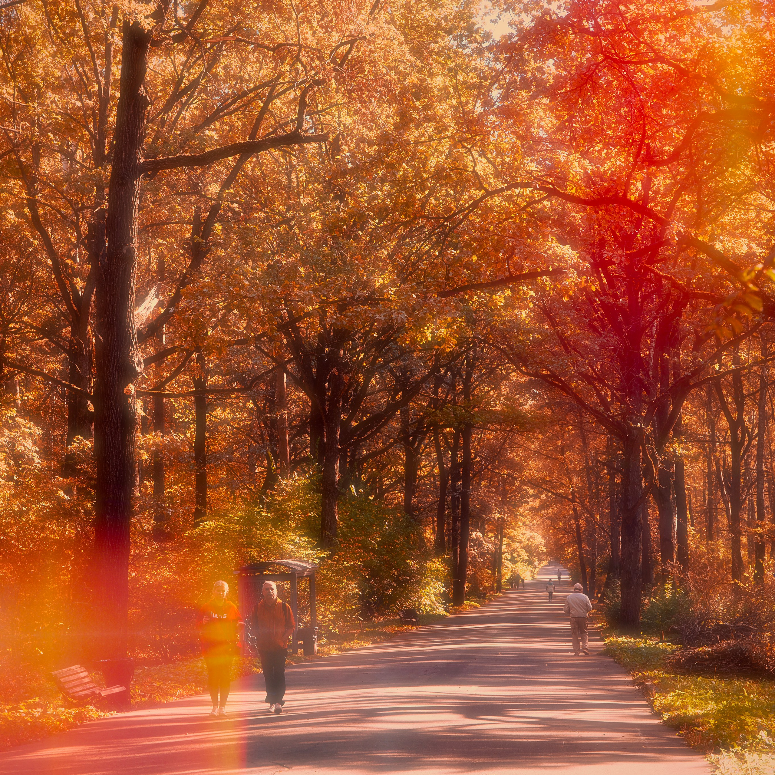 Природа