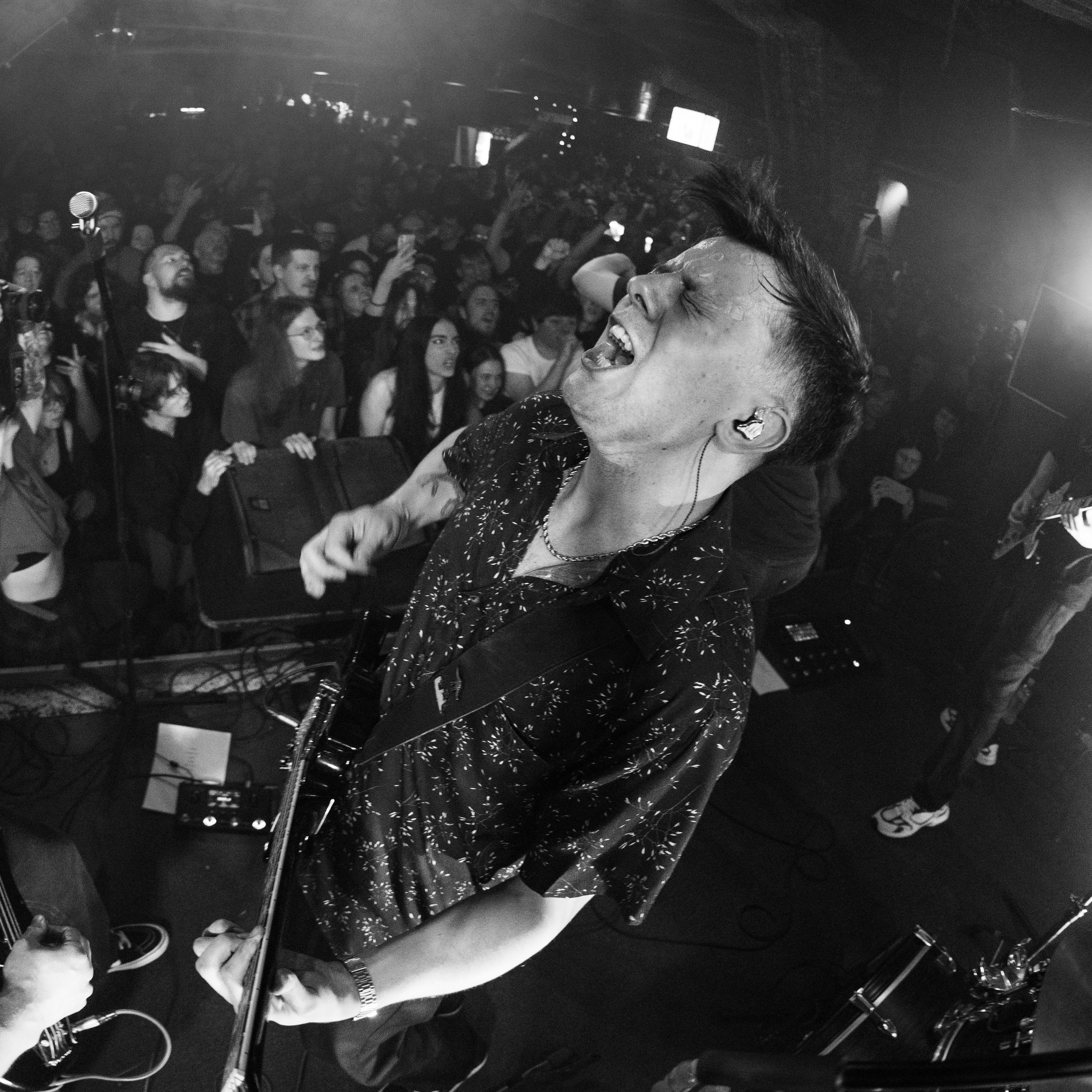 Show Me A Dinosaur|Zoccolo 2.0