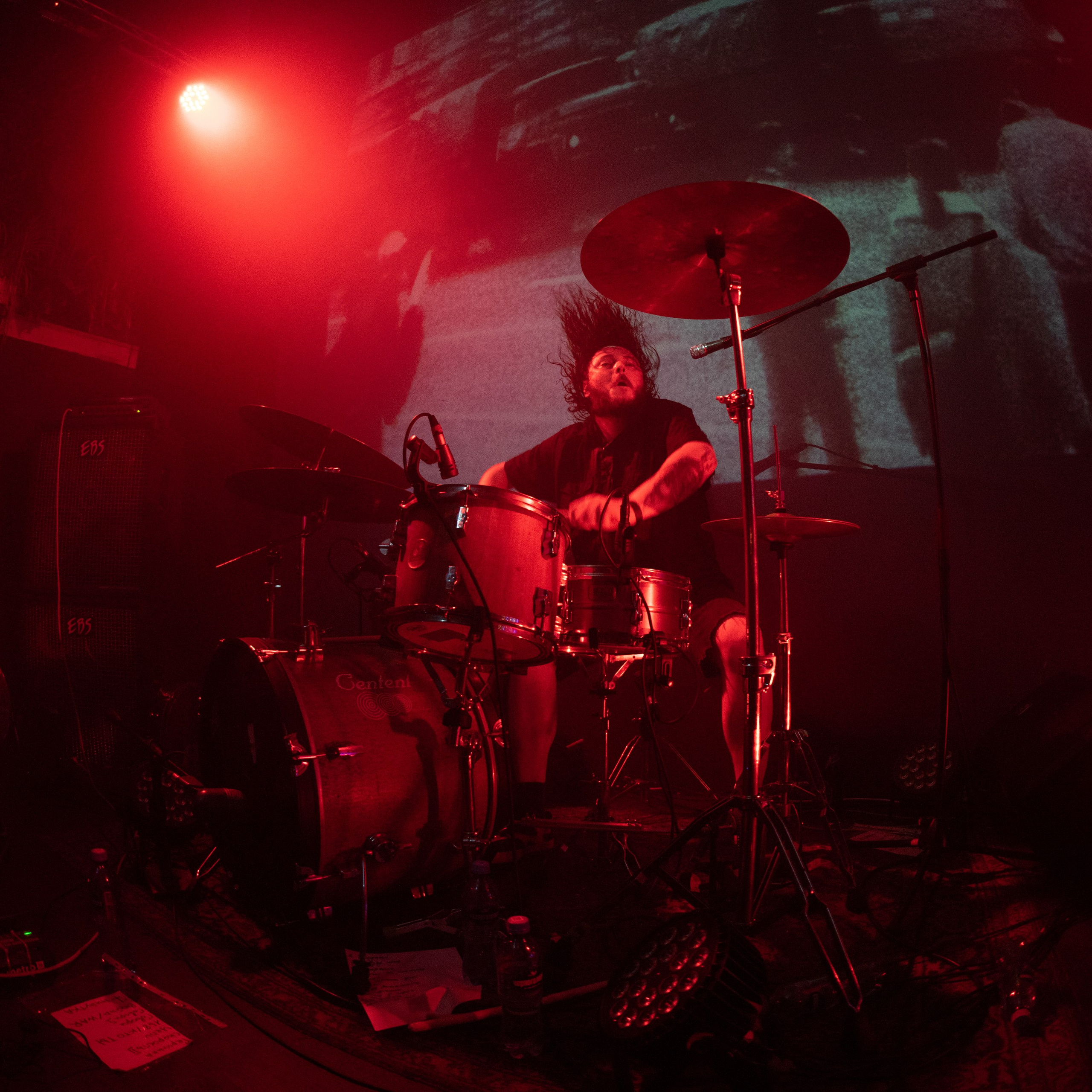 Шторм|Ласточка