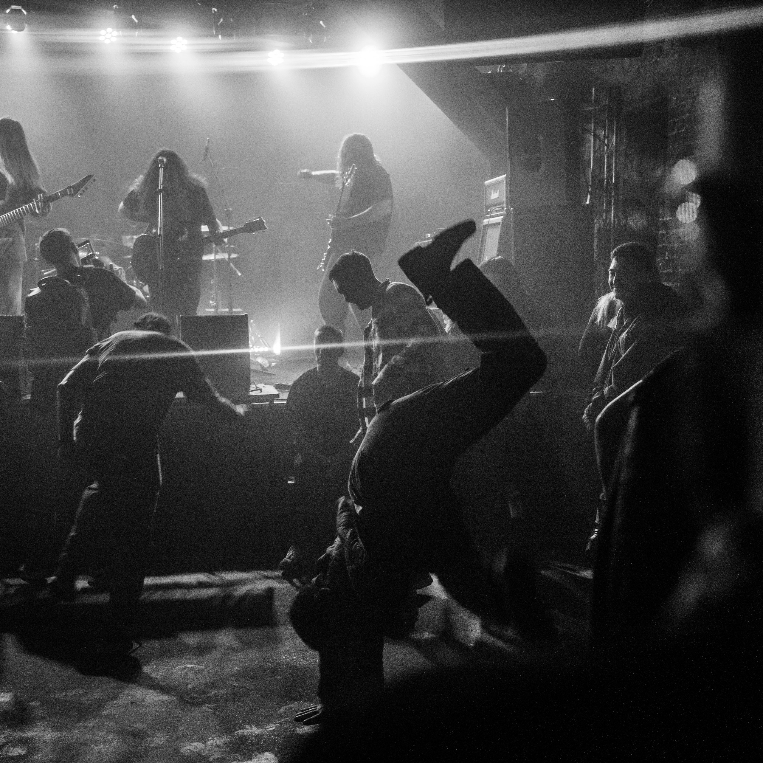 Protoslon • Масть • Potvor | Zoccolo 2.0 21/09/25