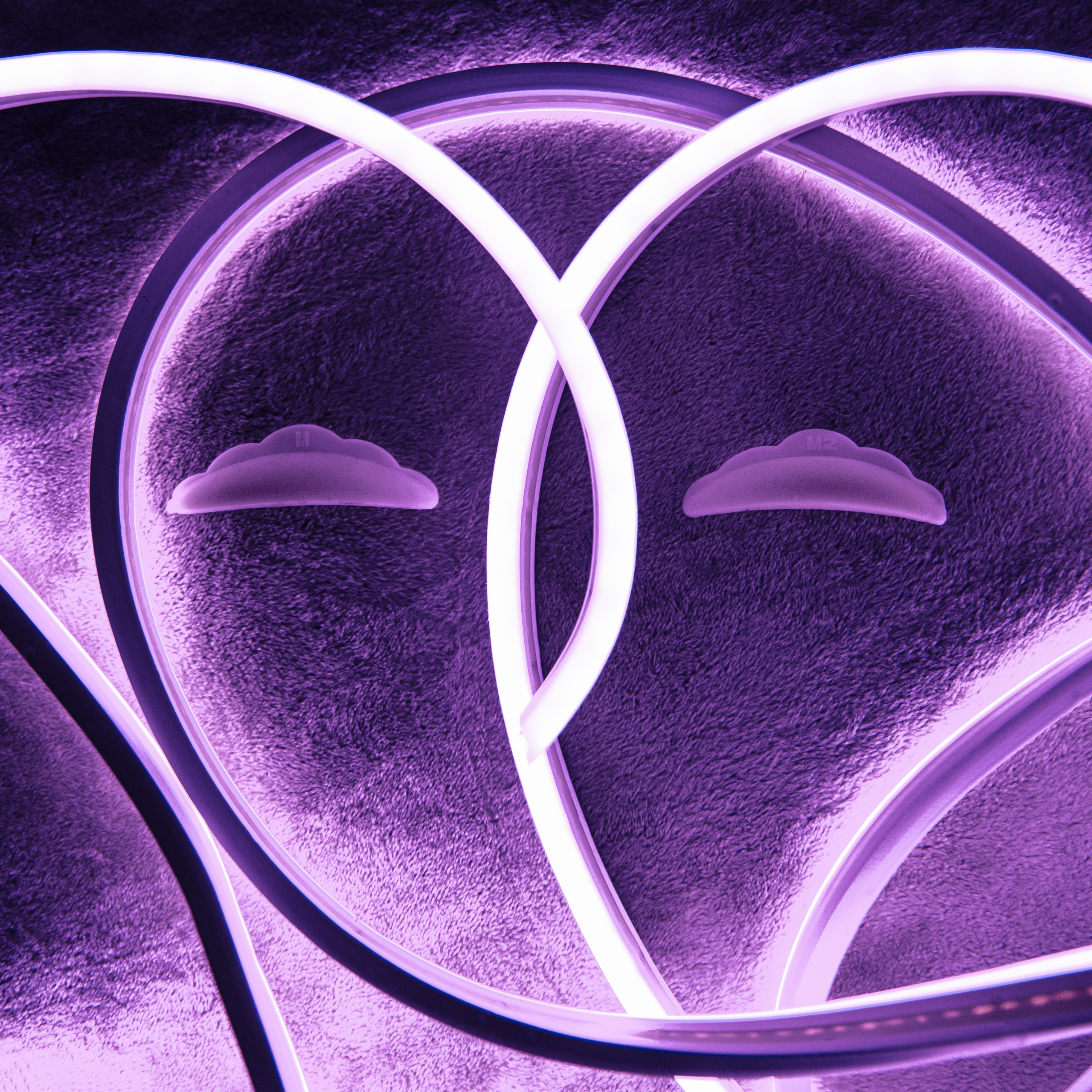 Для Бизнеса. Свадебный фотограф Регина Клименко Москва, Московская область