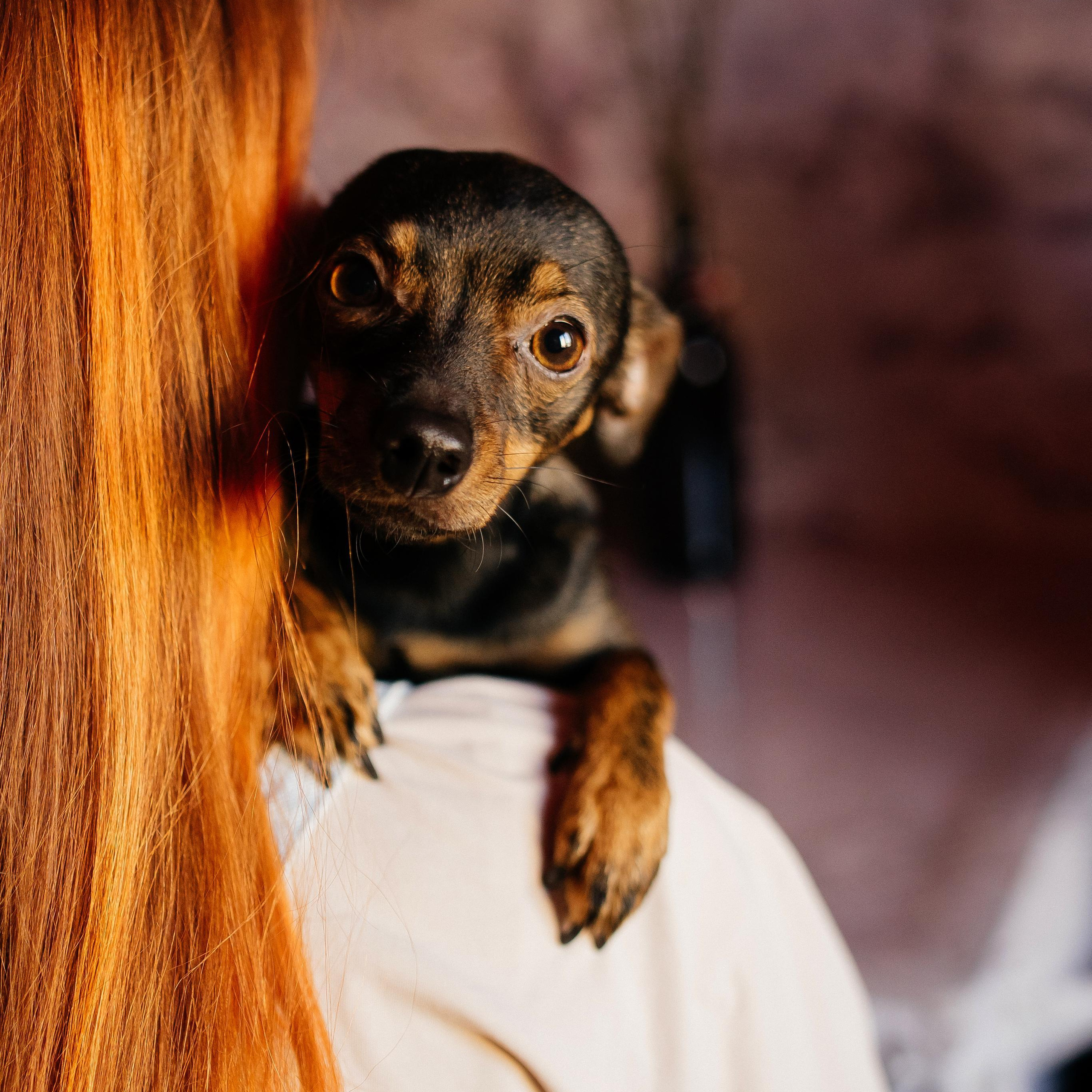 Отзывы. Детский и семейный фотограф — Калининград — Юля Насифуллина