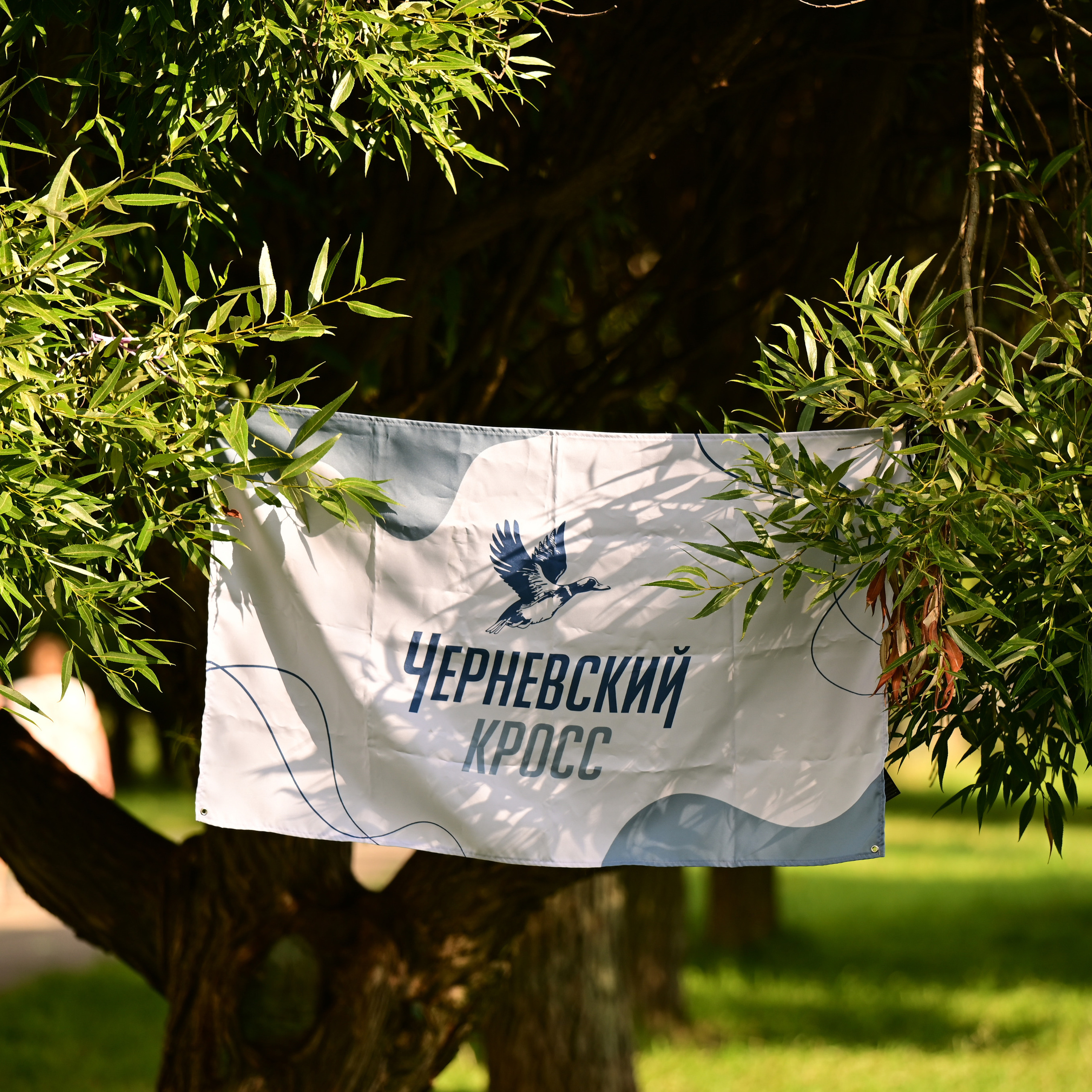 Сырный кросс 2022