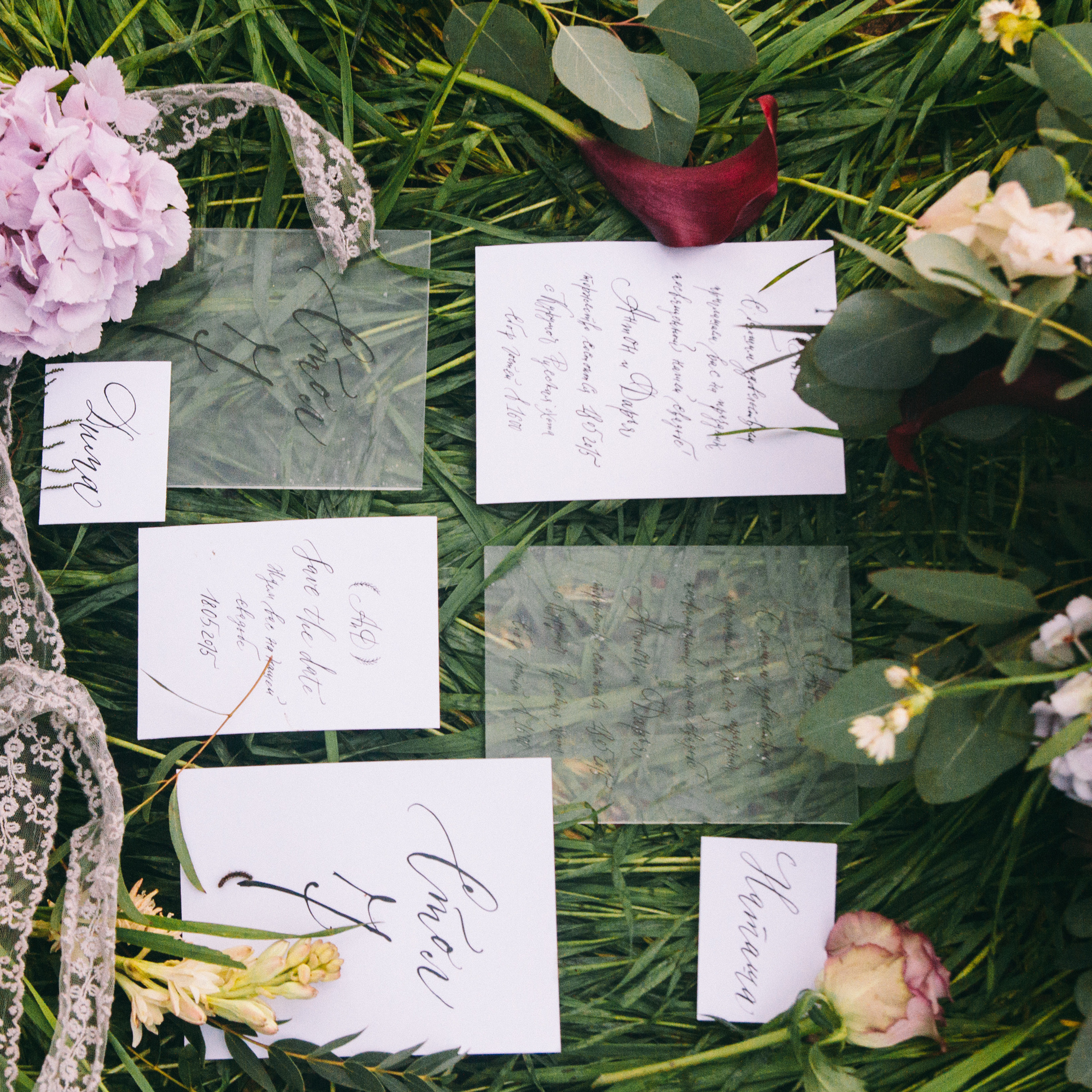 Александр и Елизавета