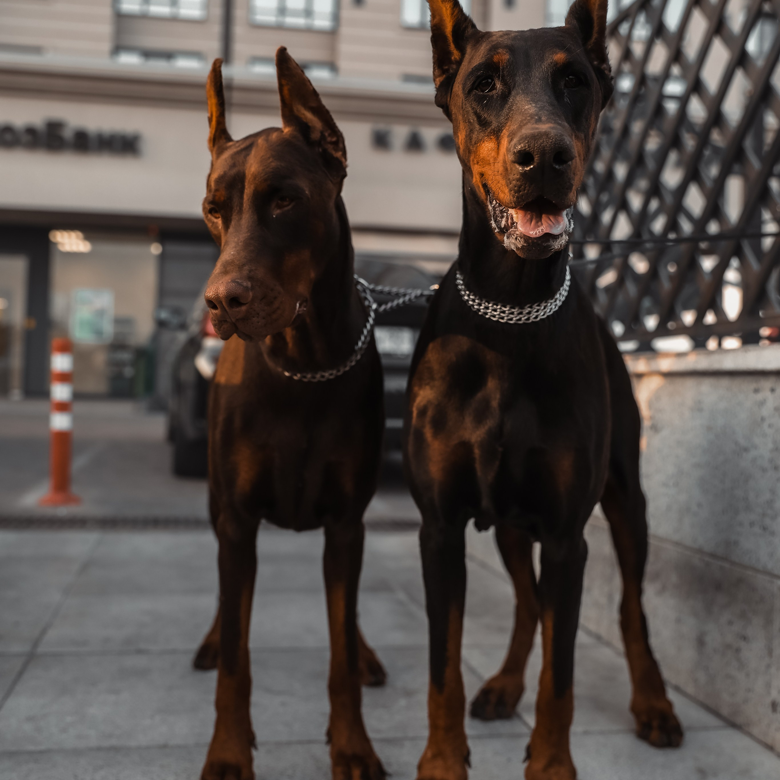 Отзывы. Photographer Viktoriya Markushina «My world throug»