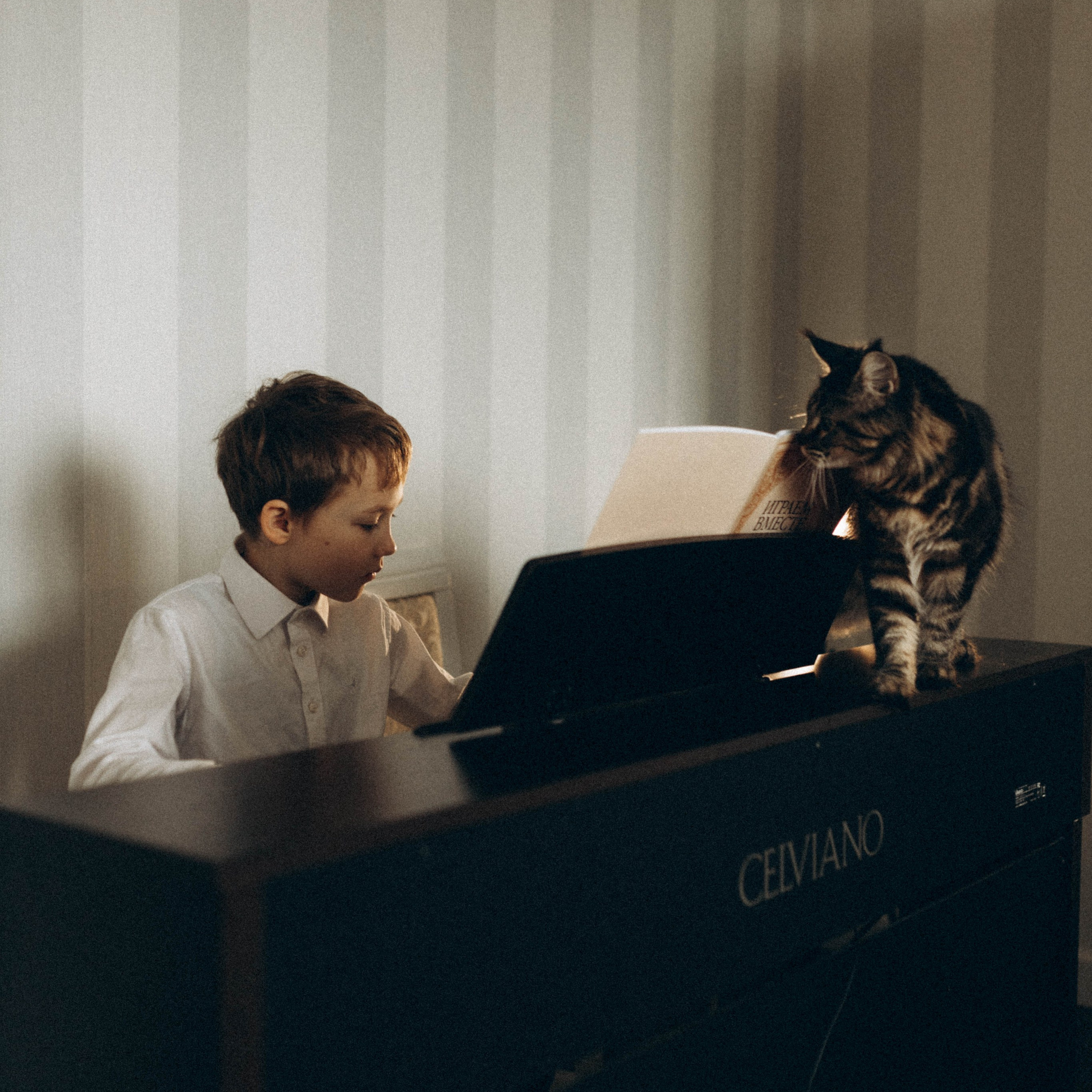 преподаватель музыки