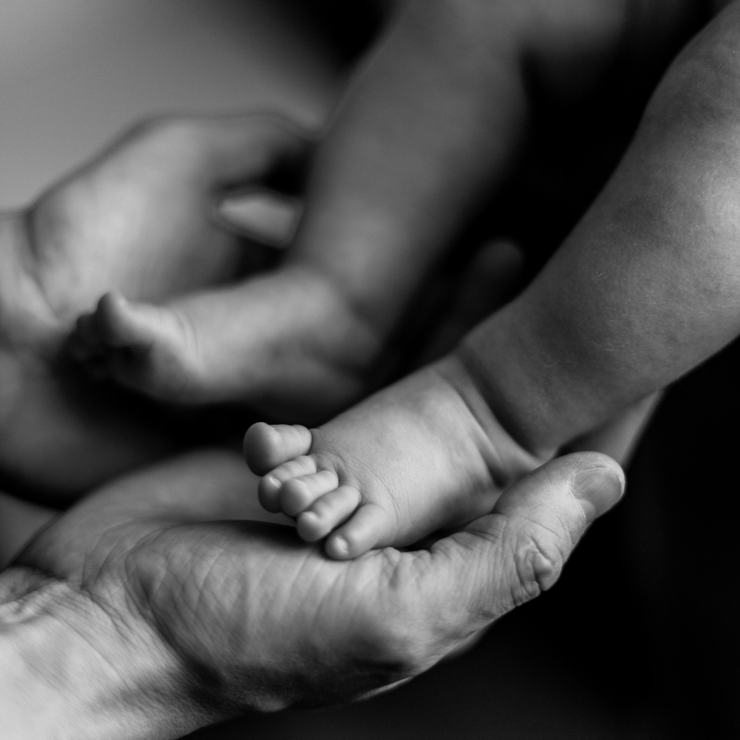 Аня, Влад и Настюша