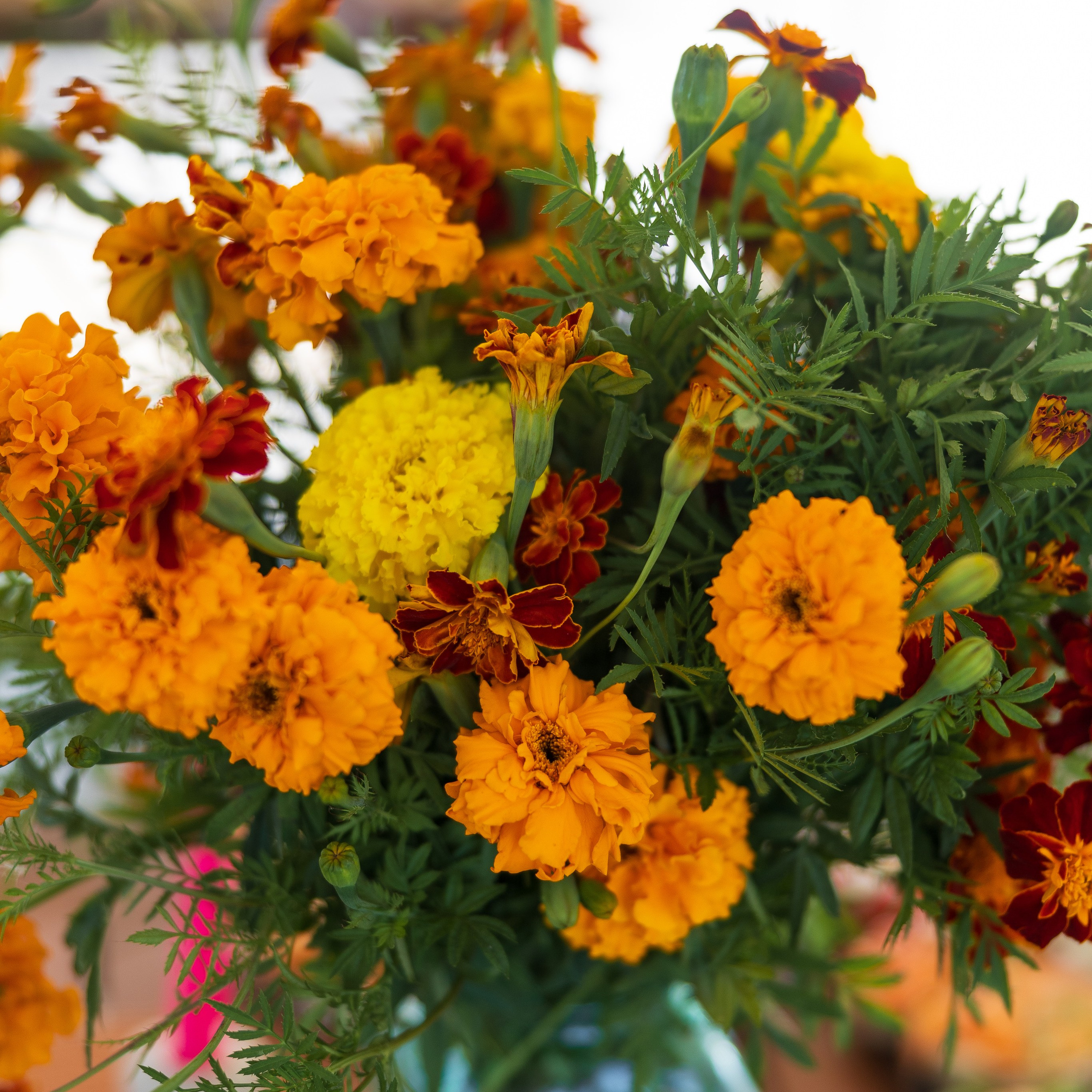 Отзывы клиентов. Свадебный и семейный фотограф Москва Екатерина Верижникова