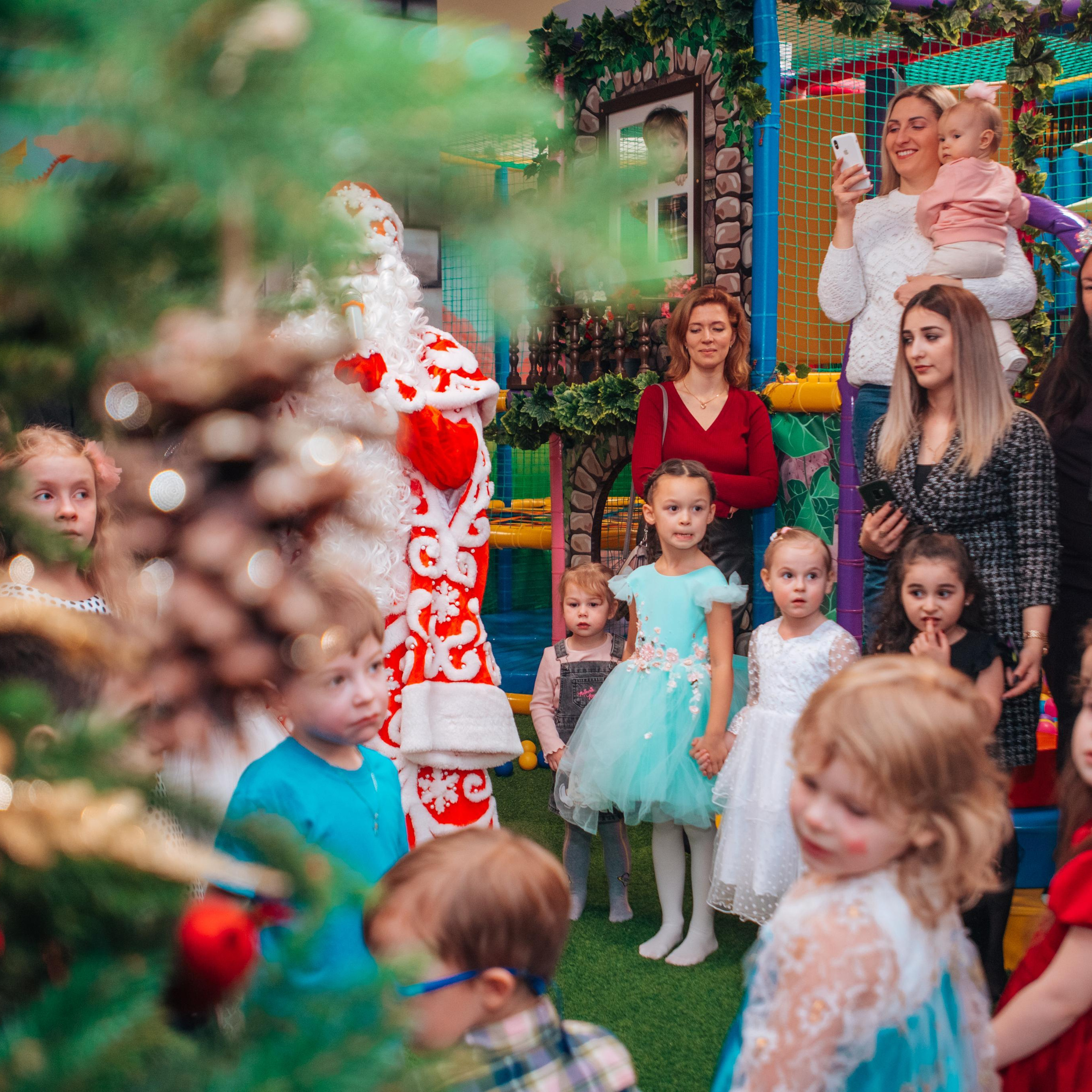 Отзывы о фотографе Алла Елисеева. Фотограф Алла Елисеева