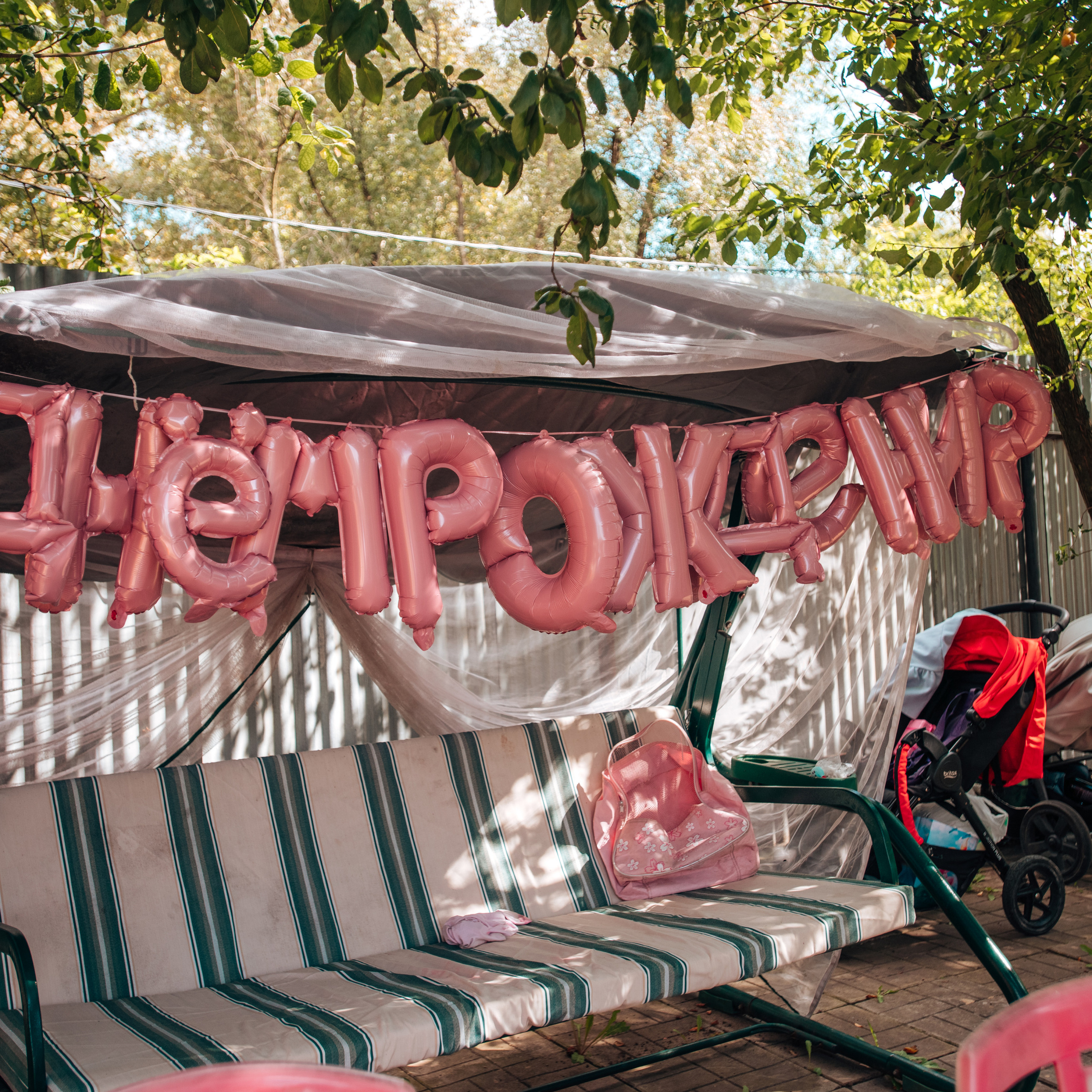 Отзывы о фотографе Алла Елисеева. Фотограф Алла Елисеева