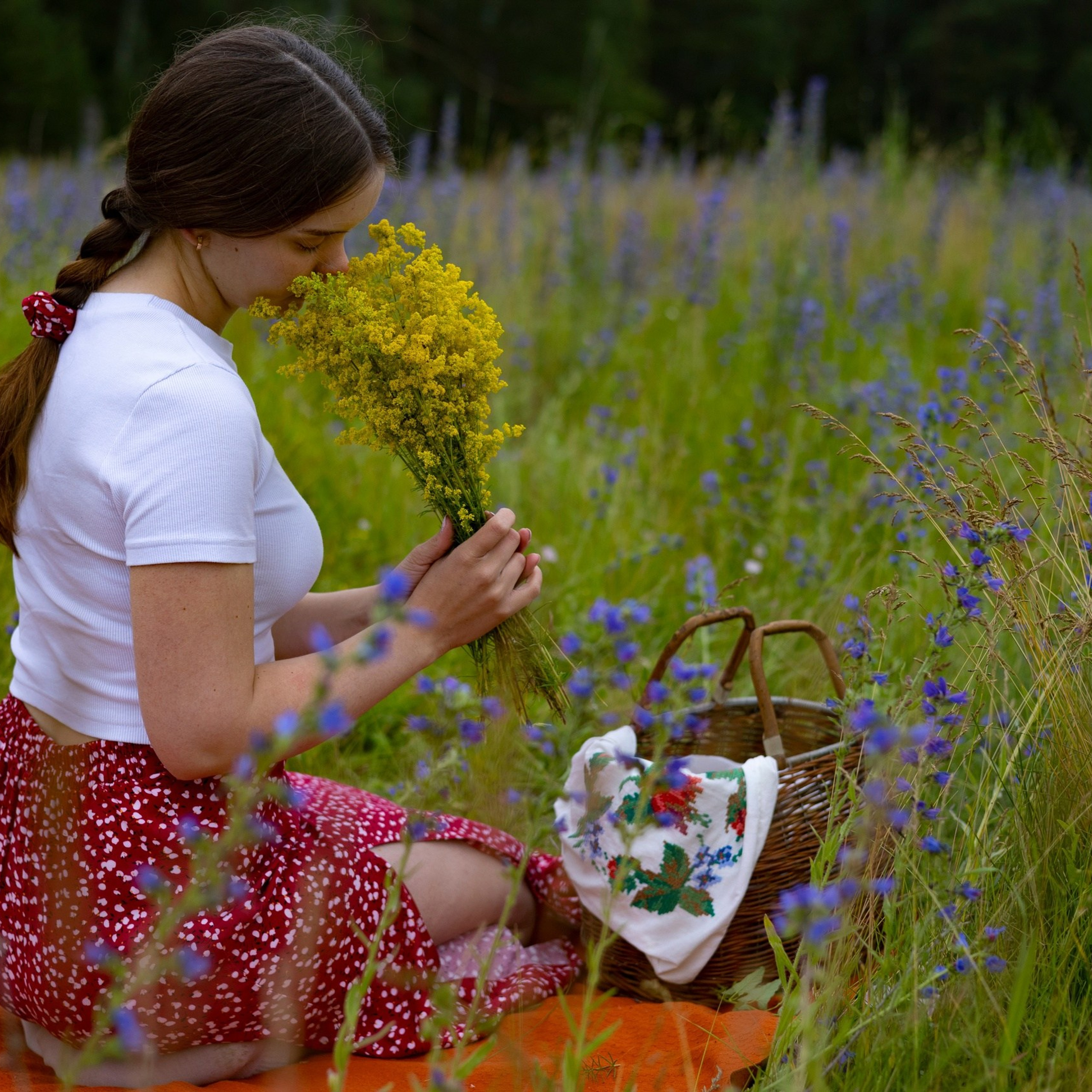 Пикник на природе