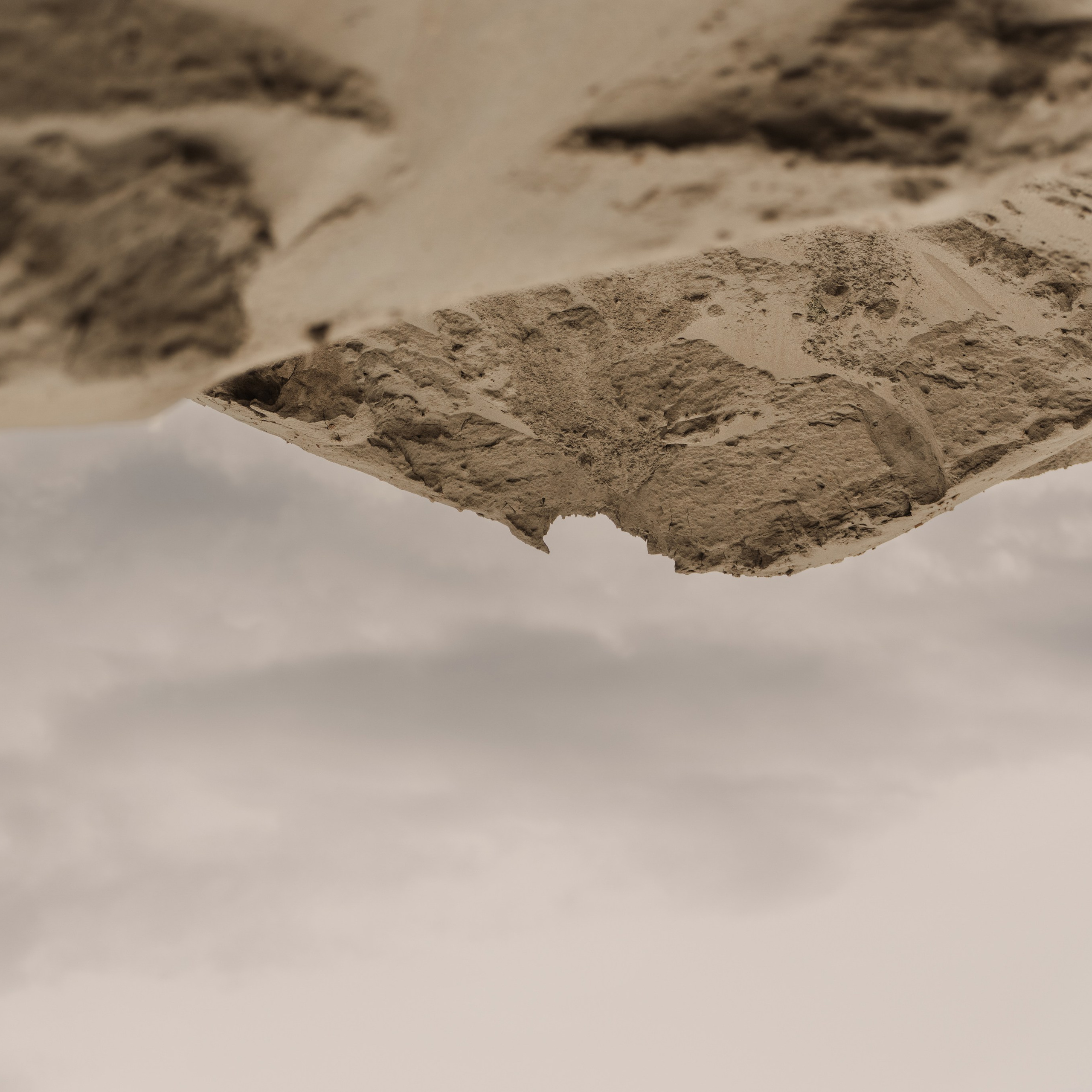 Дарья и Антон