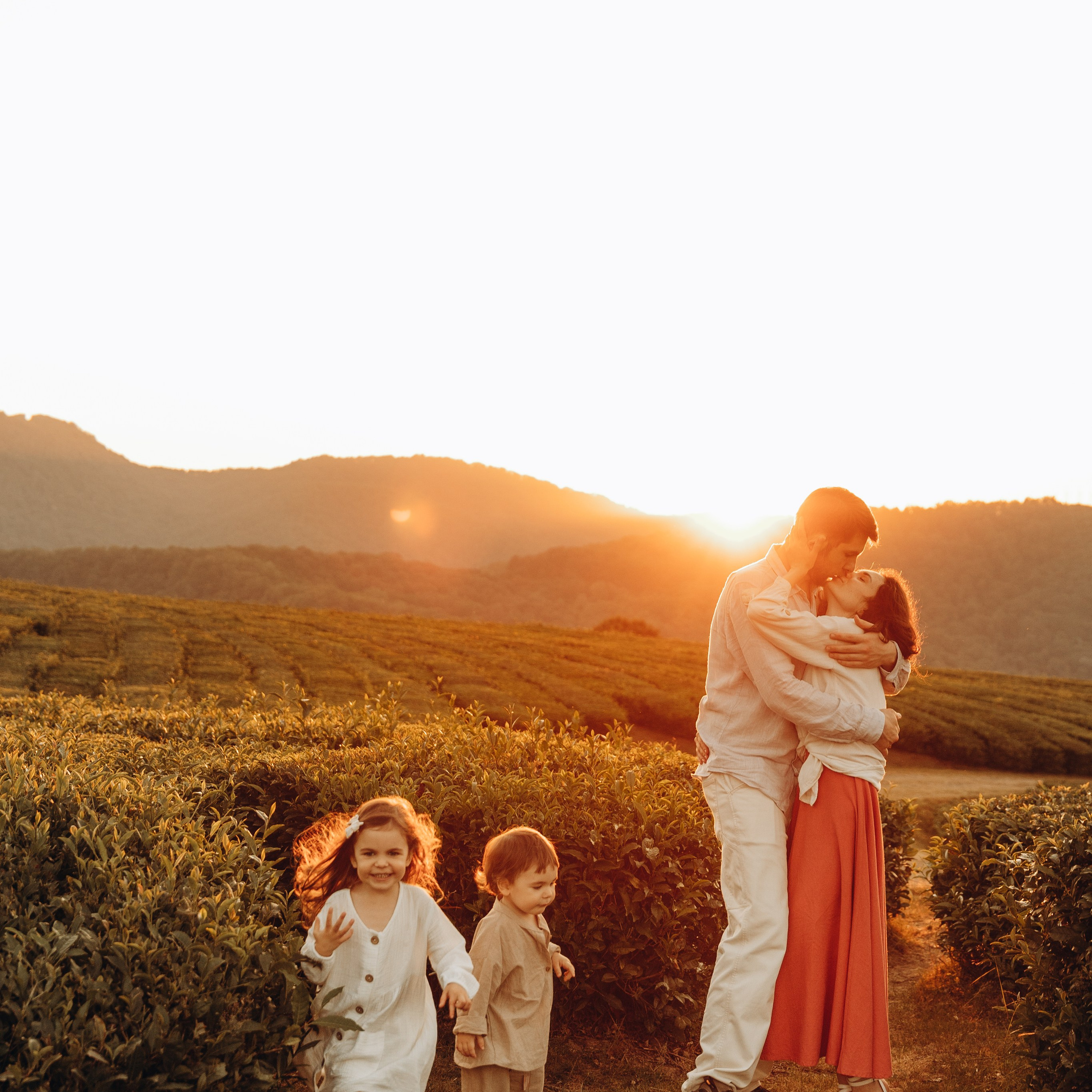 Чайные плантации