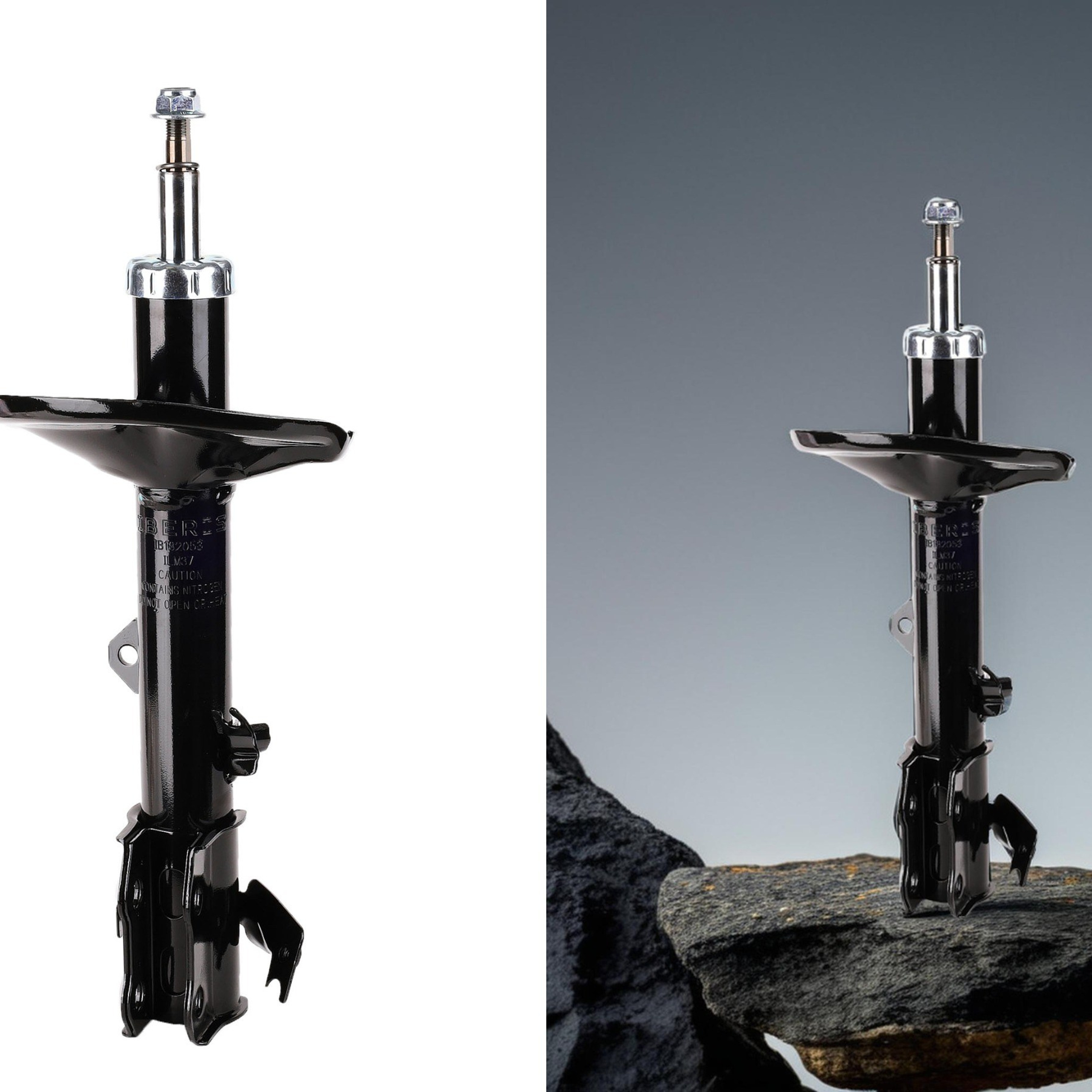 Портфолио ИИ  Альбом