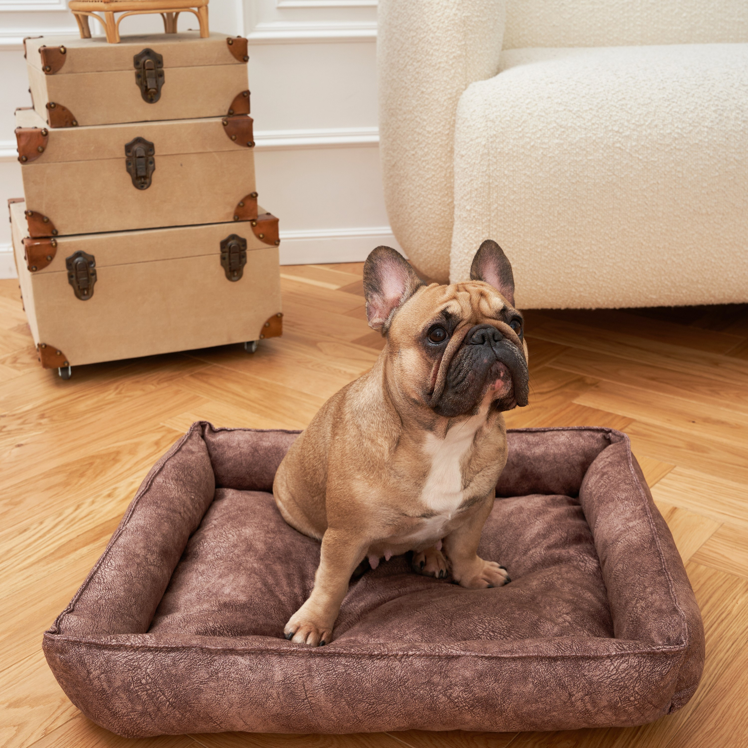 Предметная съёмка товаров для животных, подчёркивающая яркие цвета и материалы изделий.