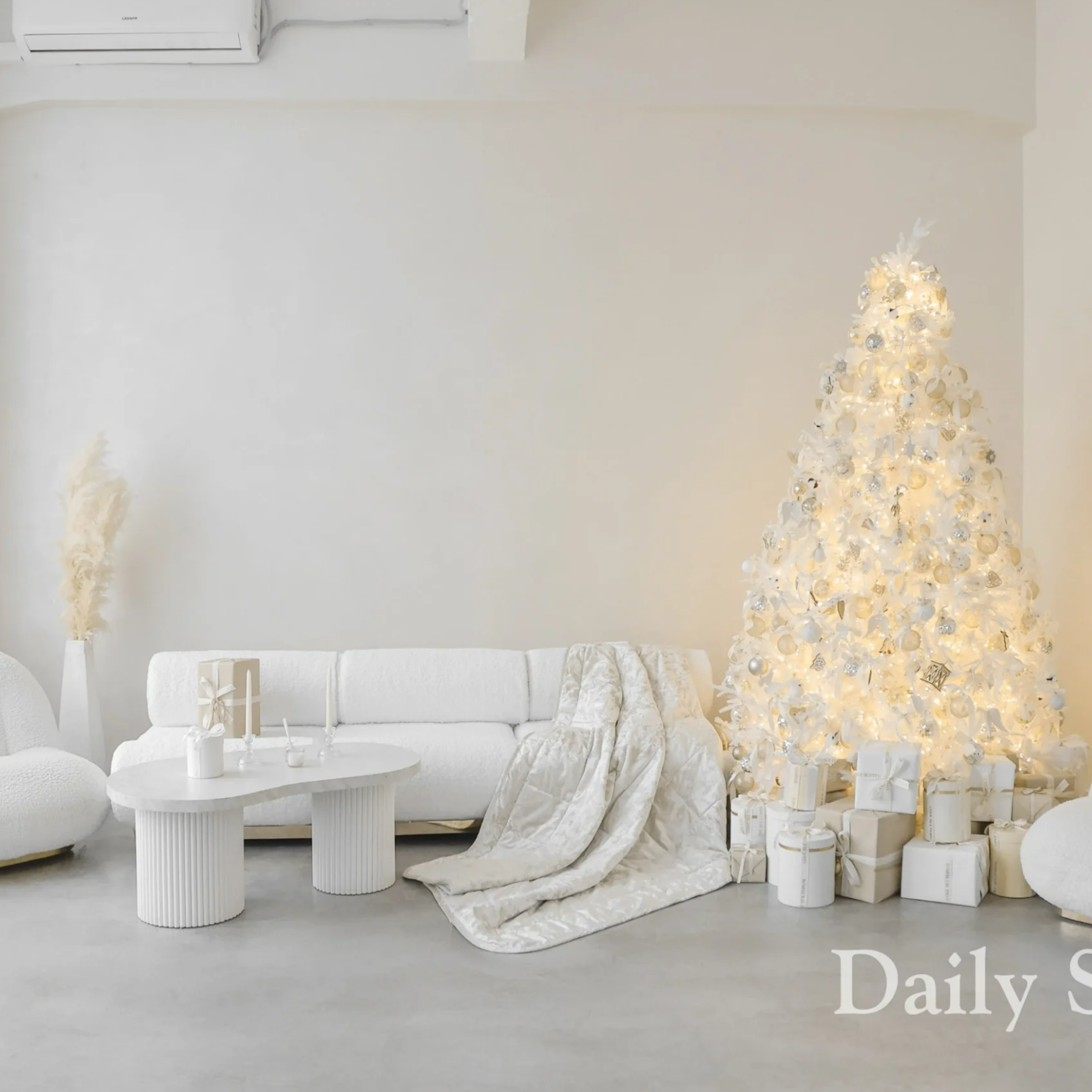 DAILY STUDIO — зал Cream