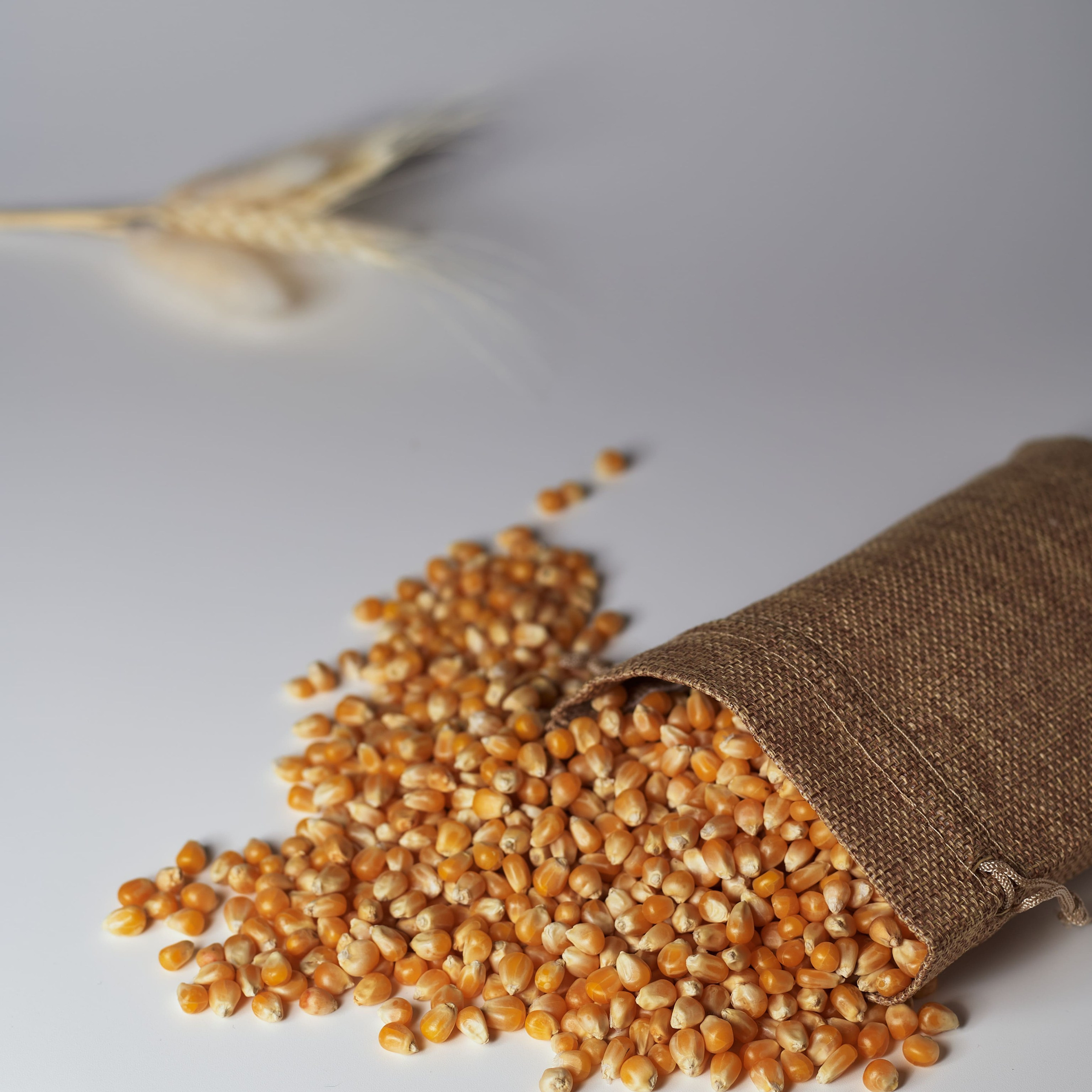 Фуд съемка и предметная съемка еды и напитков | Sale Easy