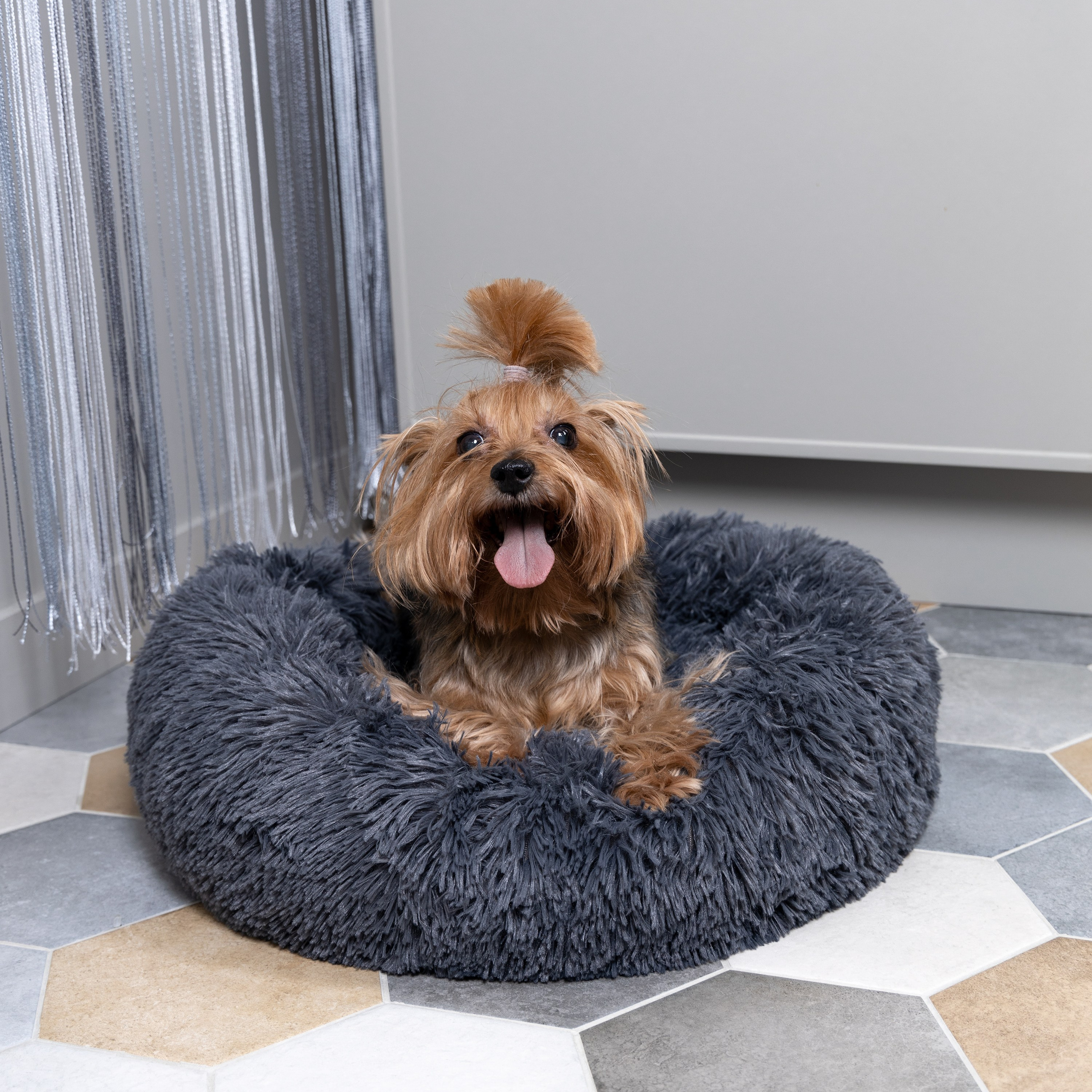 Йоркширский терьер — Оскар | id 26707