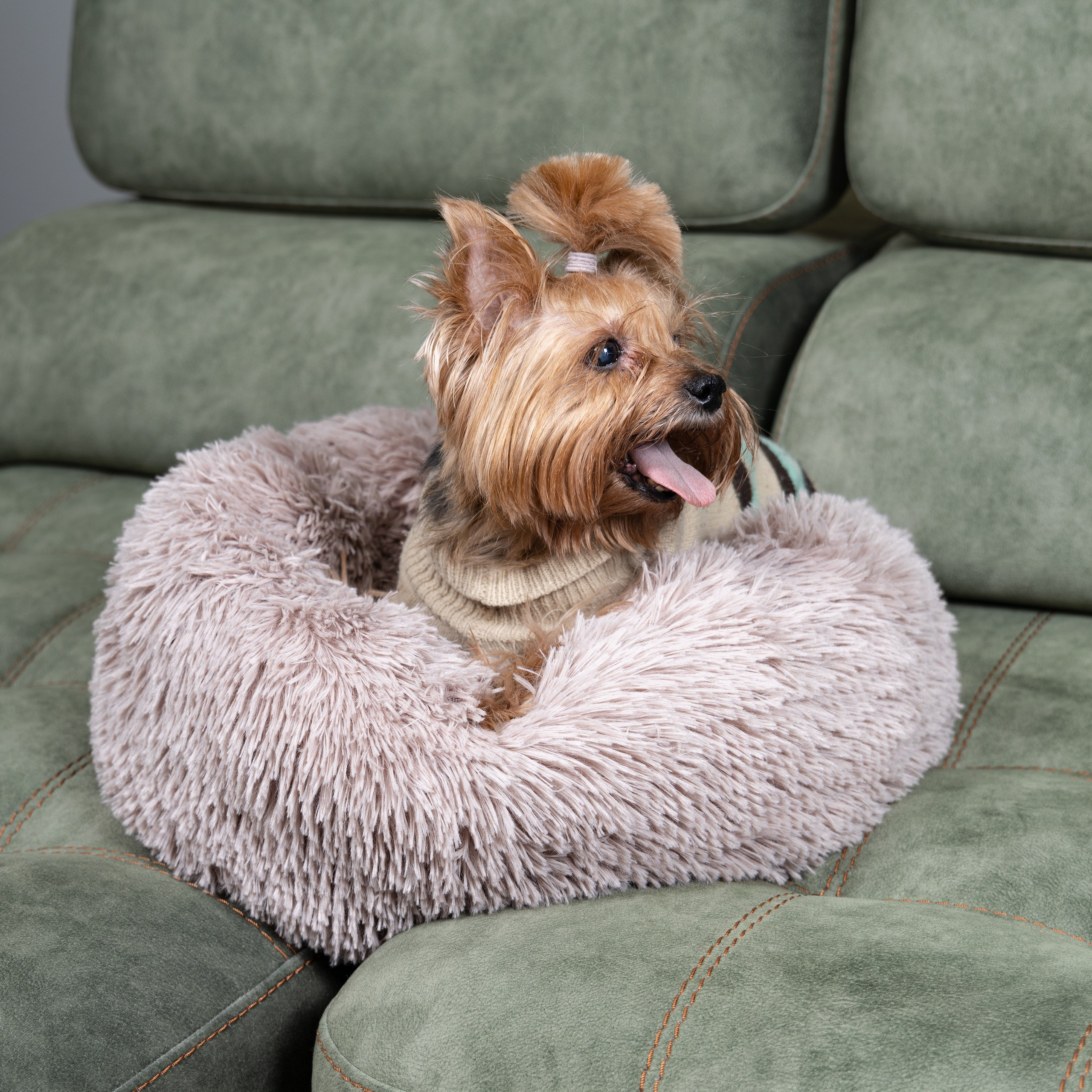 Предметная съемка товаров для животных, показывающая, как легко ухаживать за питомцами с помощью этих товаров.