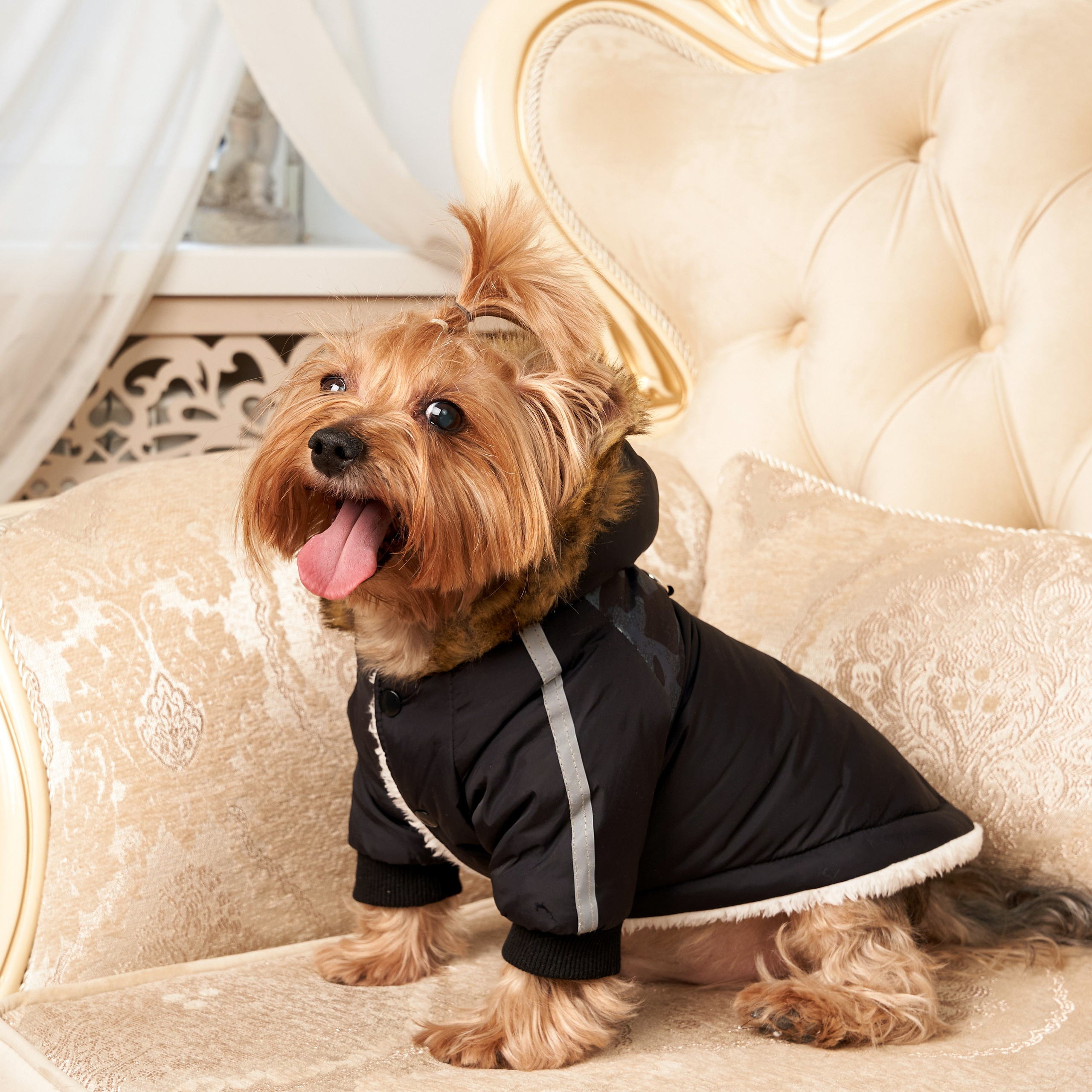 Предметная съемка товаров для животных, акцентирующая внимание на их практичности и долговечности.