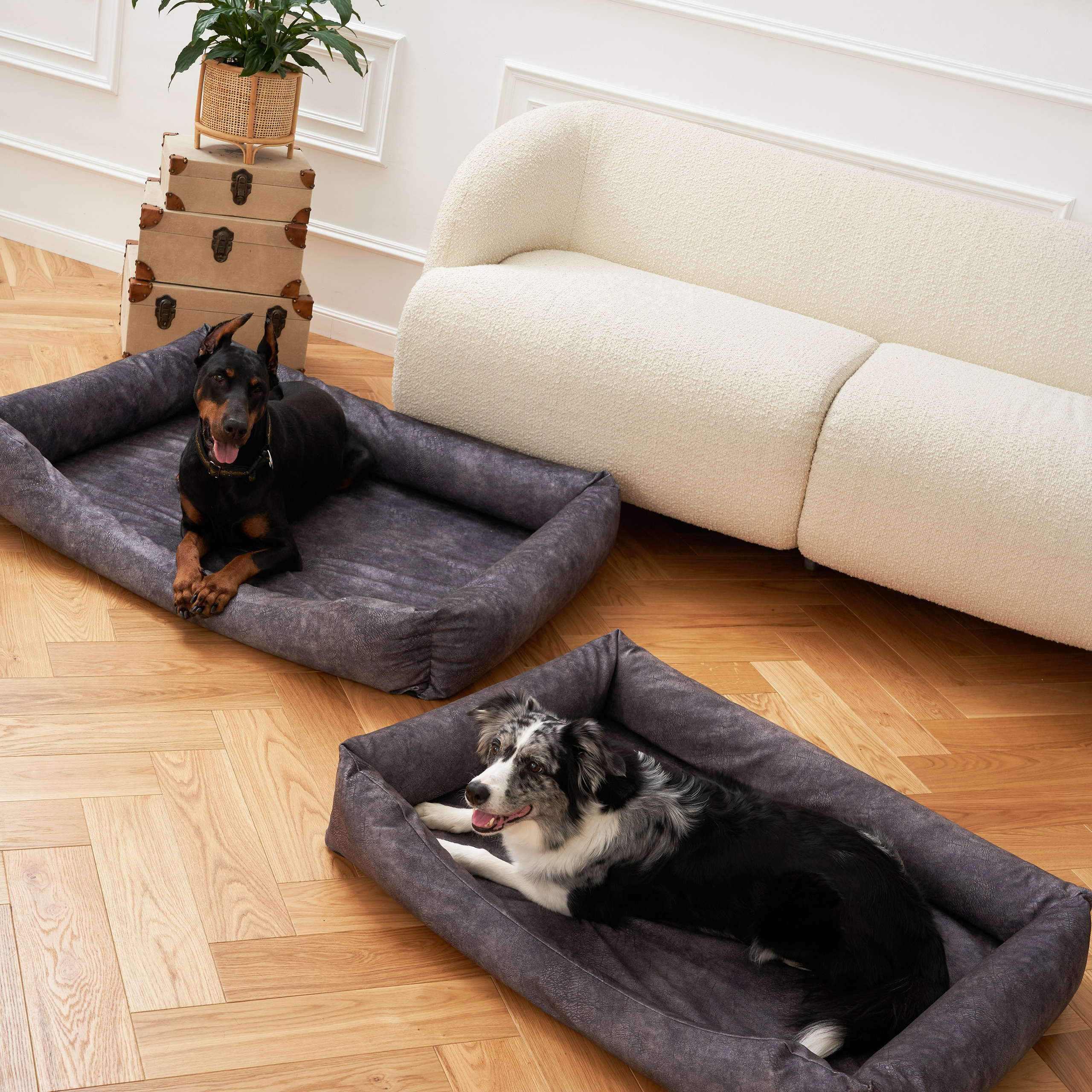 Предметная съемка товаров для животных, подчеркивающая функциональность и практичность аксессуаров.