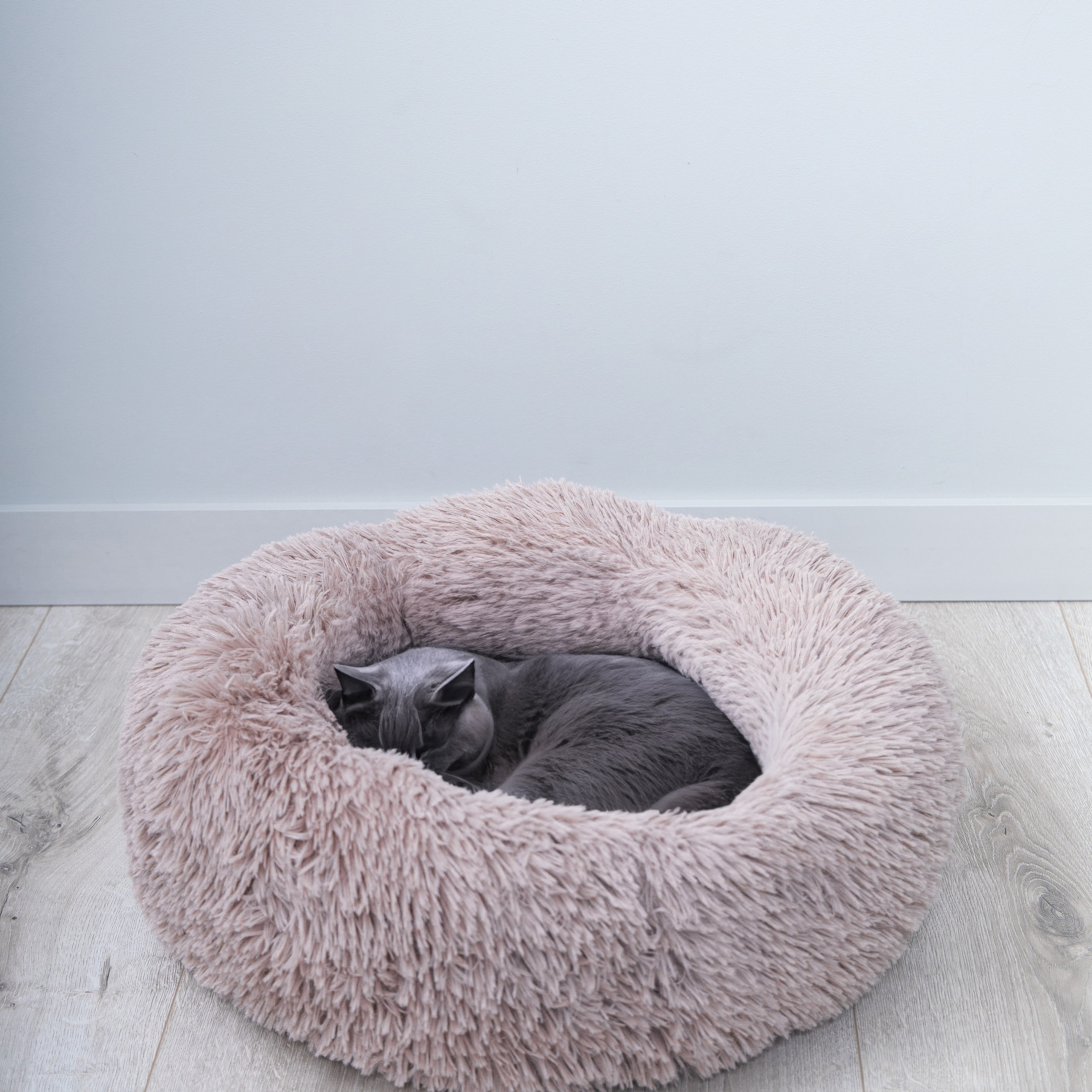 Предметная съемка товаров для животных, создающая эмоции и подчеркивающая счастье питомцев.