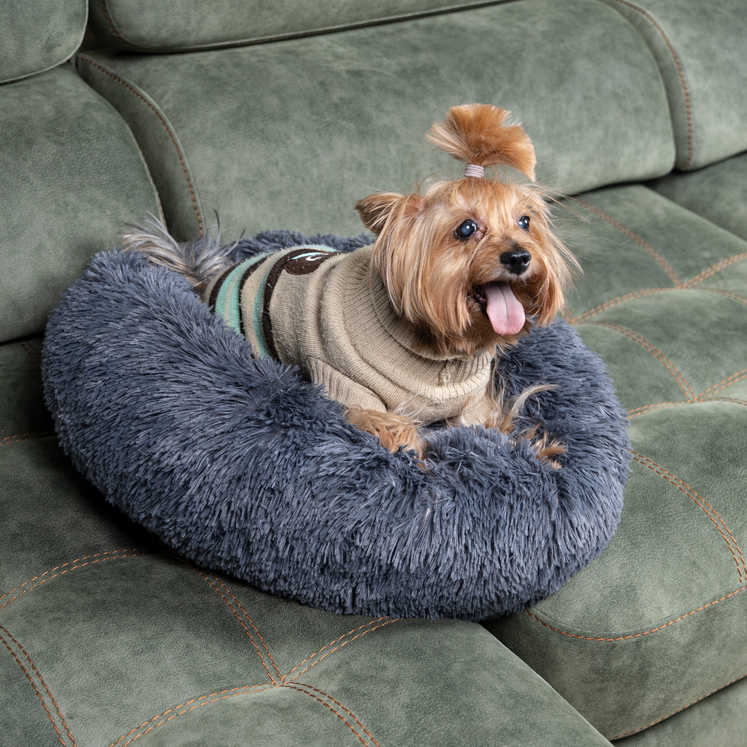 Предметная съемка товаров для животных, отражающая разнообразие товаров для ухода и развлечения.