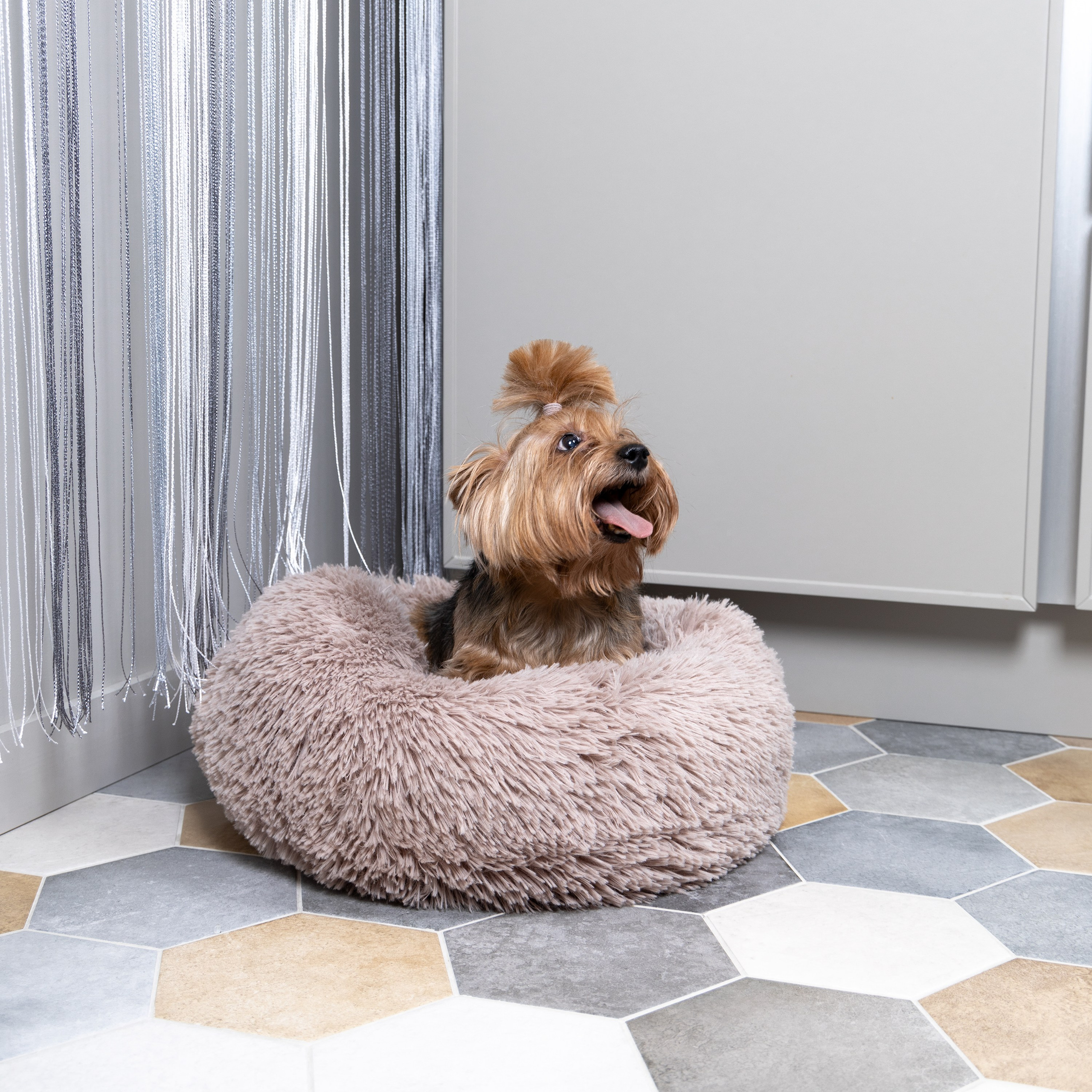 Предметная съемка товаров для животных, акцентирующая на комфорте и безопасности аксессуаров.