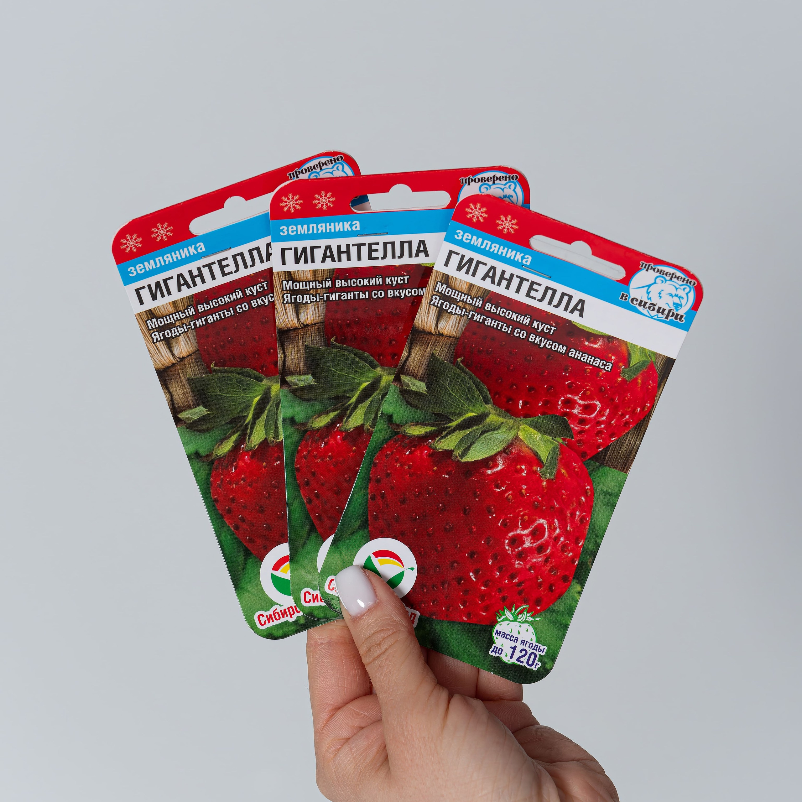 Предметная съёмка товаров для дома фото для маркетплейсов | Sale Easy