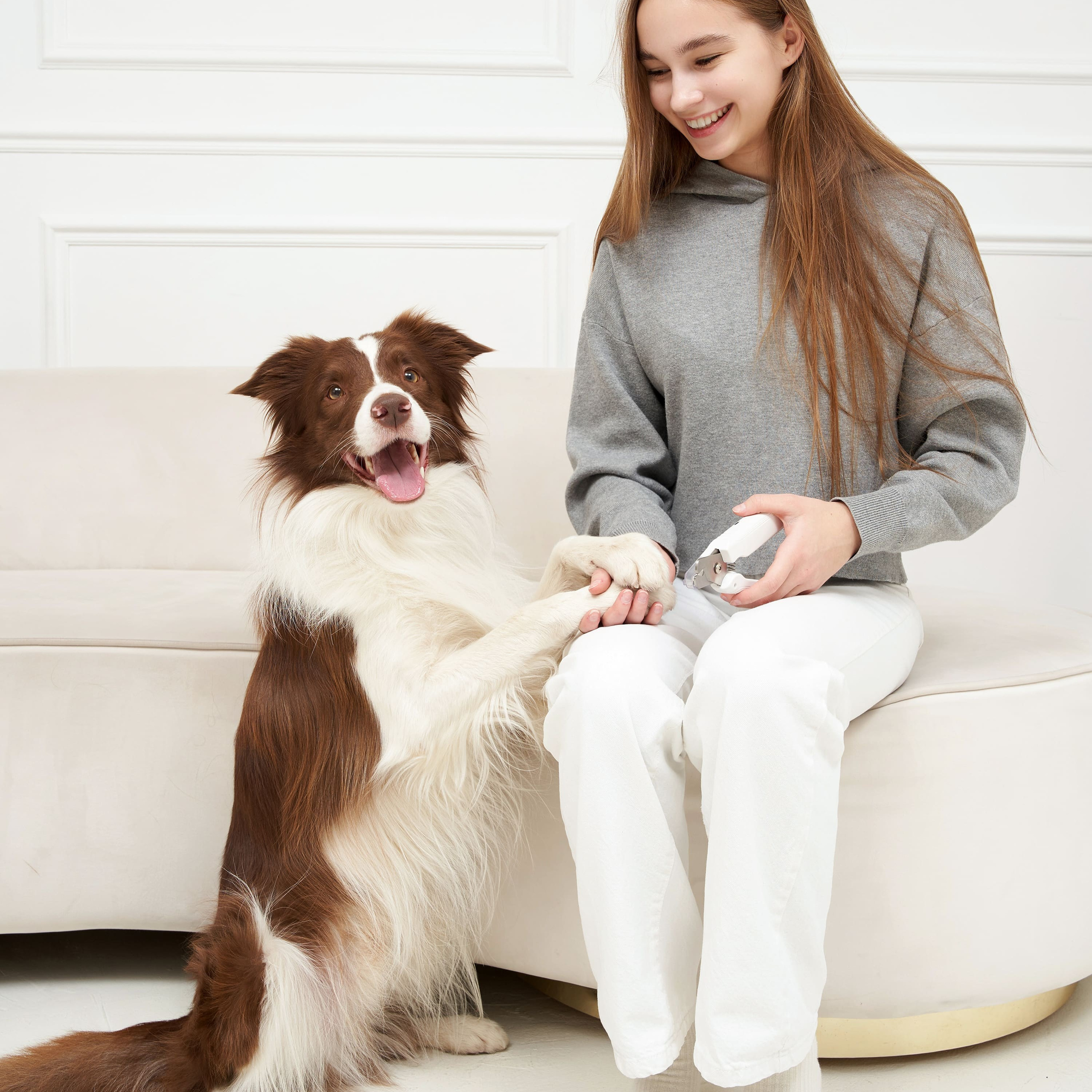 Предметная съёмка Товаров для животных и фото для маркетплейсов