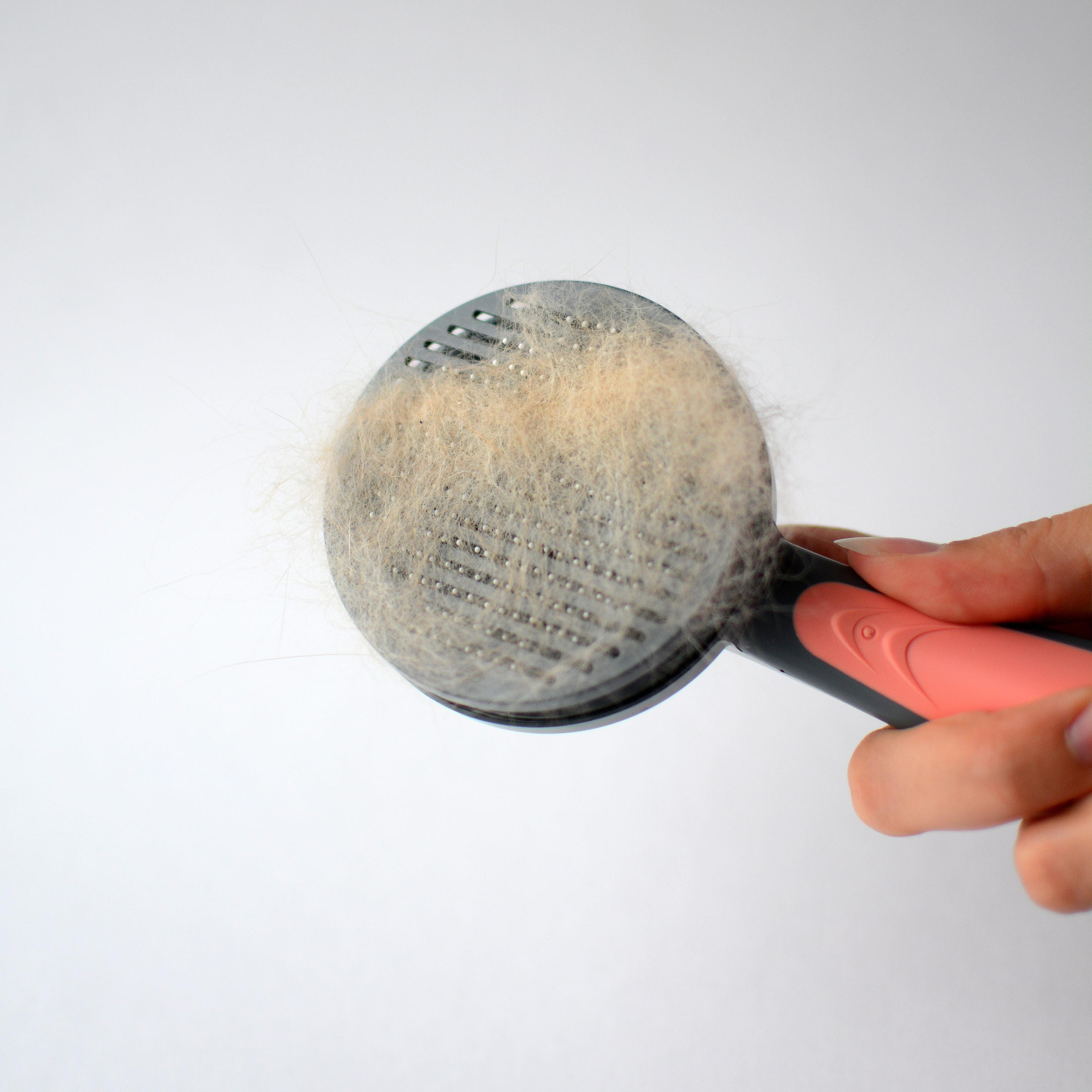 Предметное фото товаров для животных - удовольствие и удобство для вашего пушистого друга в каждом товаре.