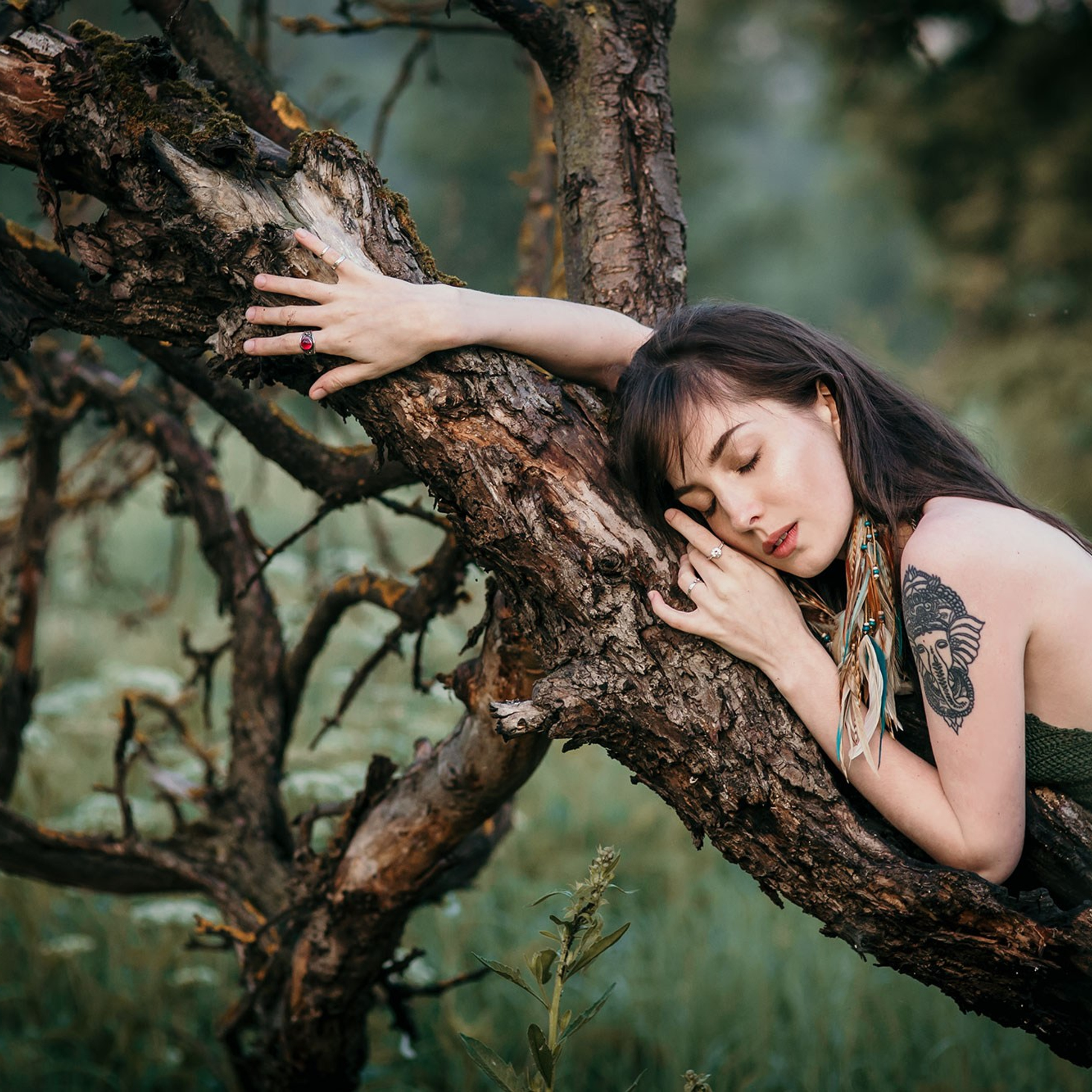 портрет.природа