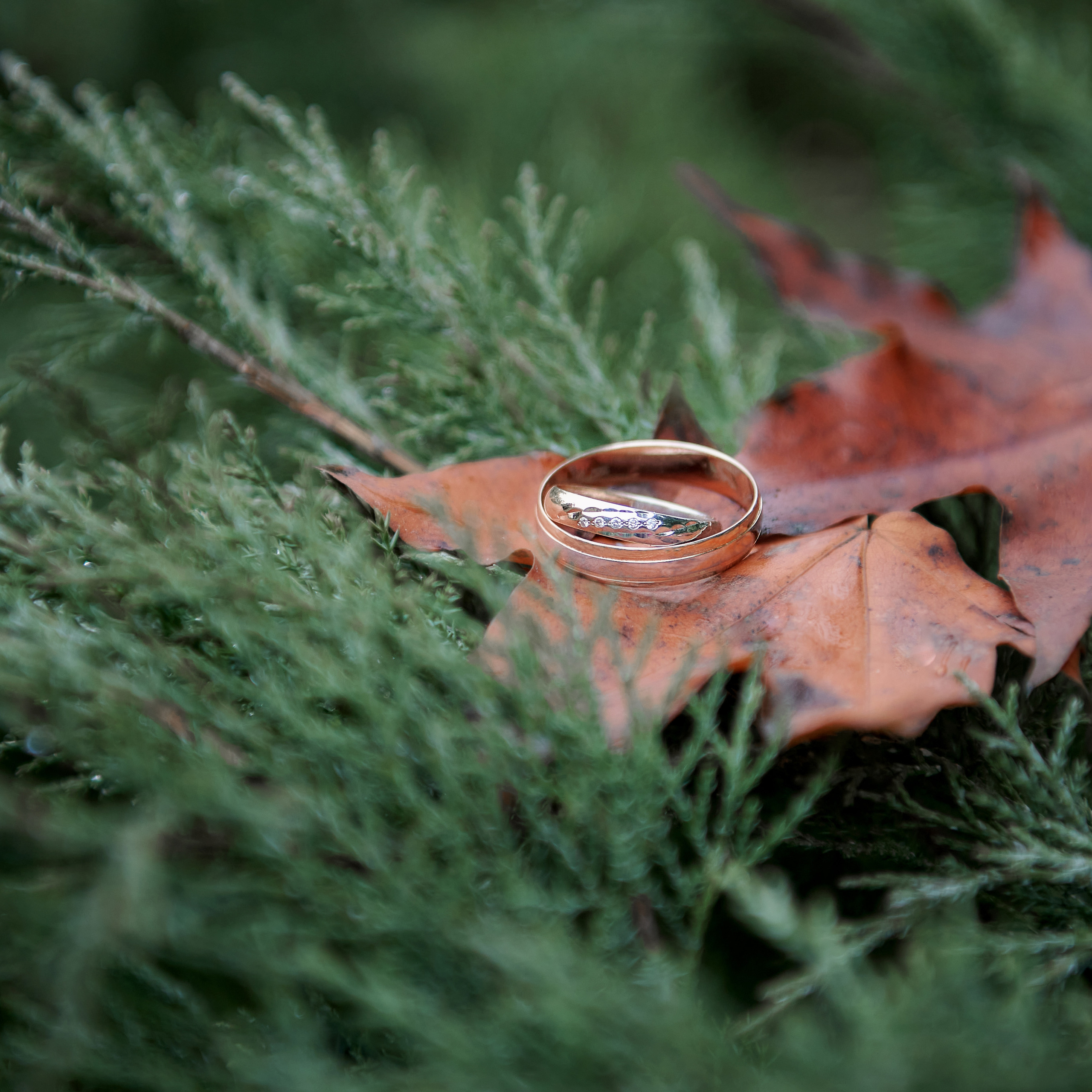 Отзывы. Семейный и детский фотограф в Барнауле Екатерина Иванова