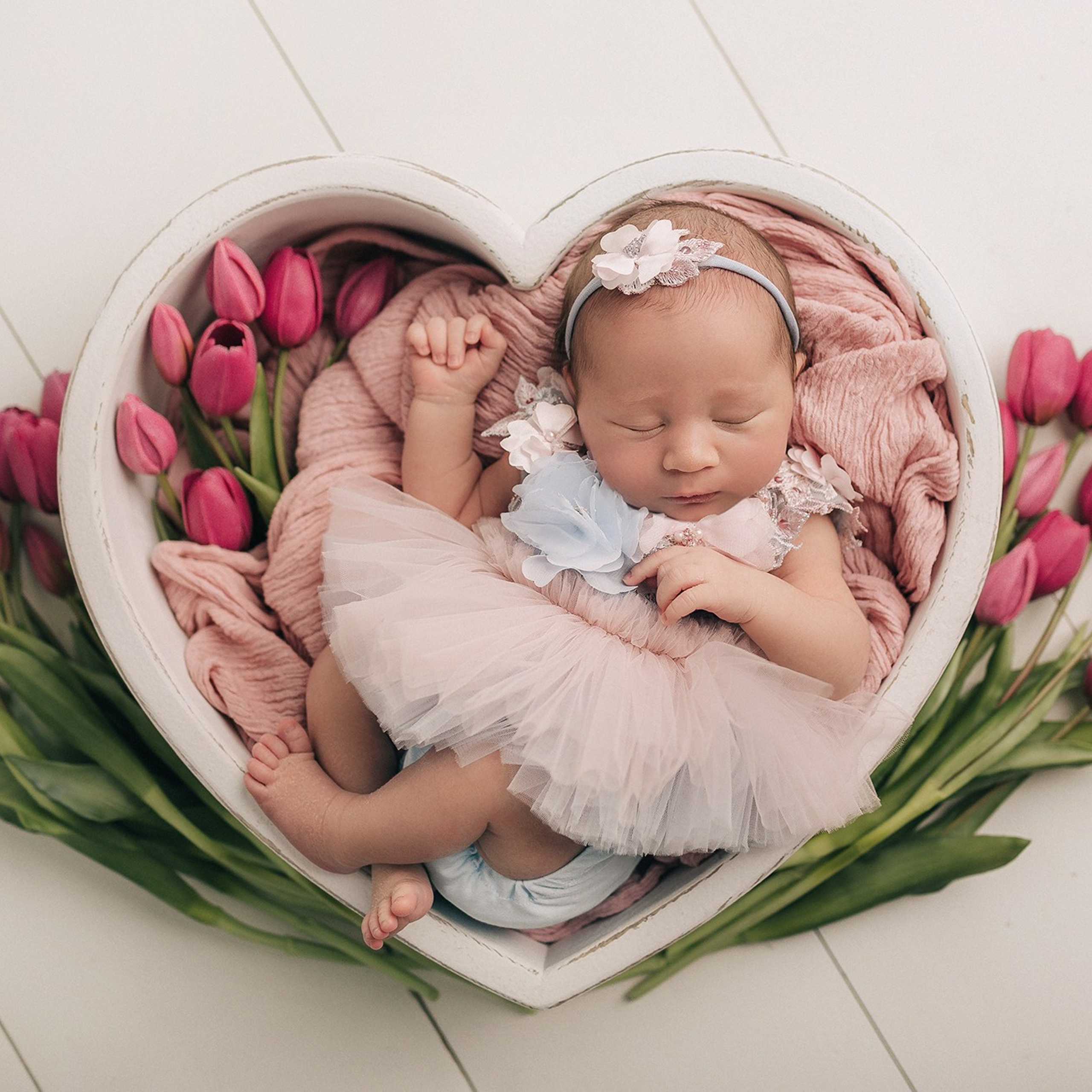 София 8 дней